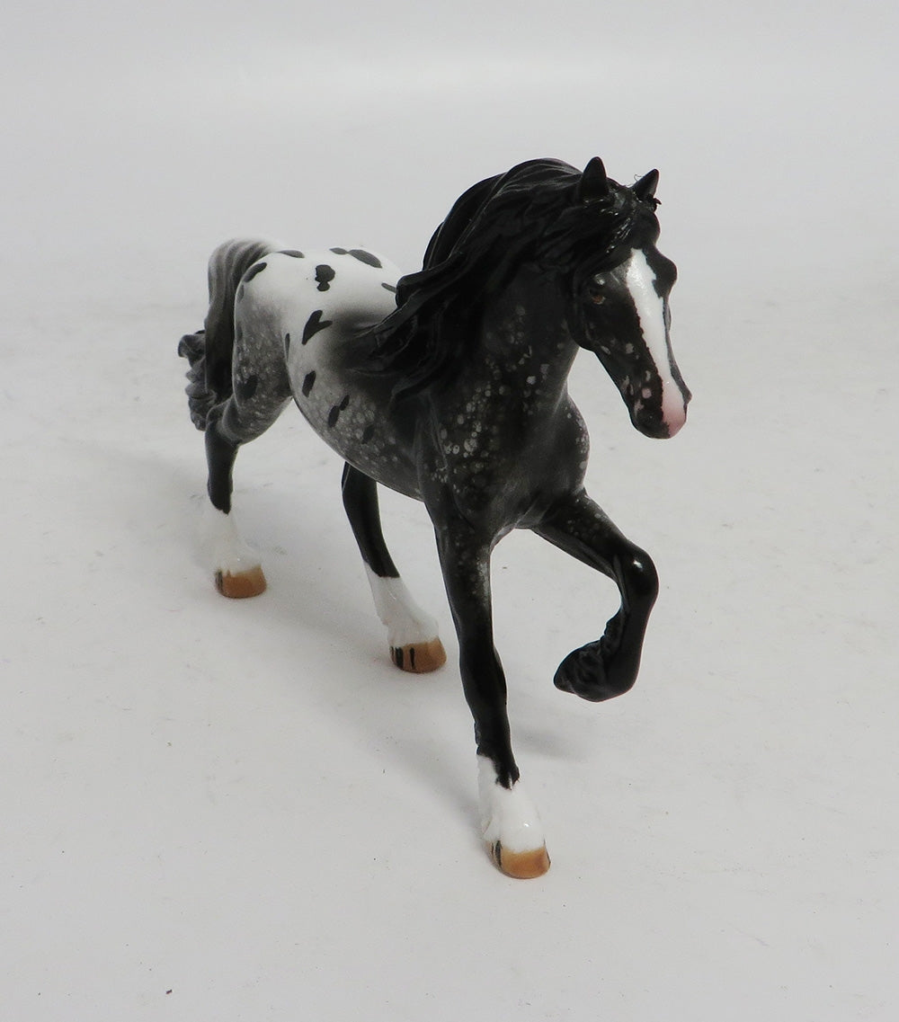 BLACK FRIDAY THANKFUL-OOAK  APPALOOSA FREISAN CHIP BF 2018