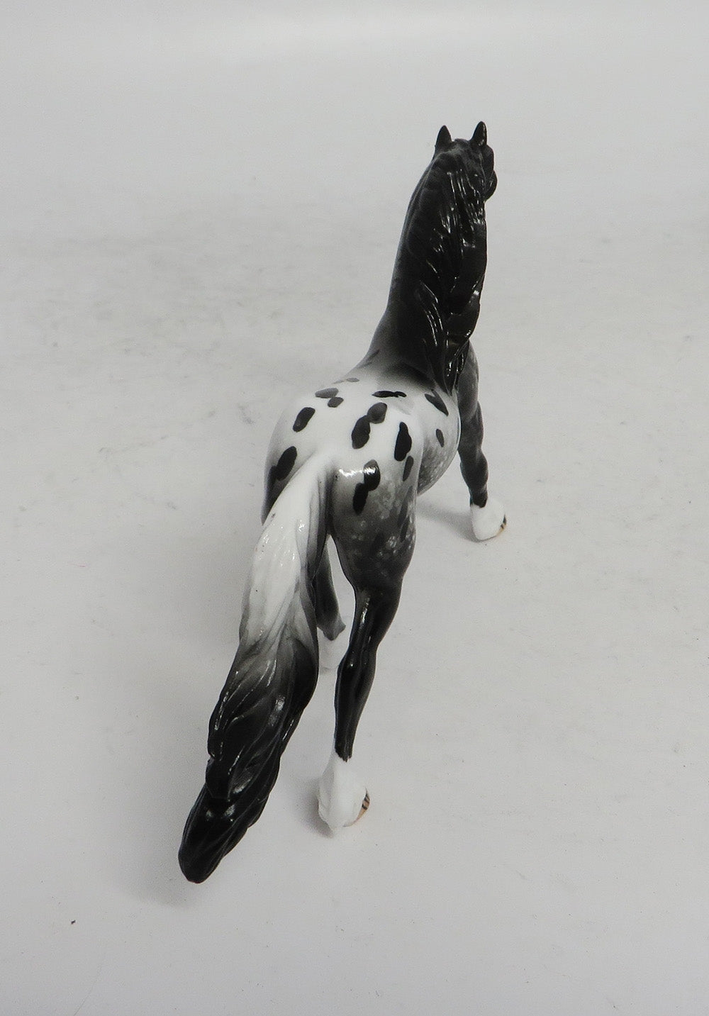 BLACK FRIDAY THANKFUL-OOAK  APPALOOSA FREISAN CHIP BF 2018