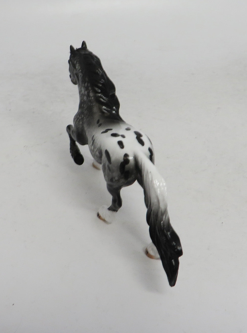 BLACK FRIDAY THANKFUL-OOAK  APPALOOSA FREISAN CHIP BF 2018