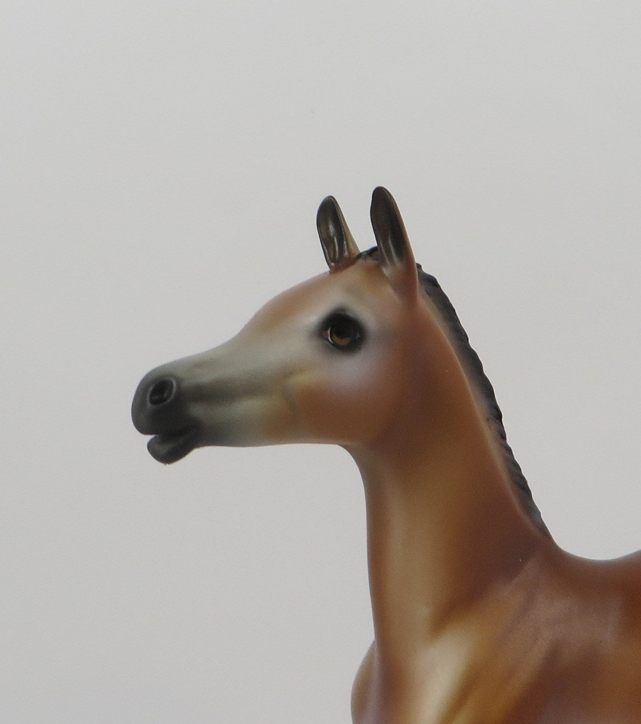 CERA-LE-3 BABY BAY ARABIAN FOAL MODEL HORSE 7/22/19