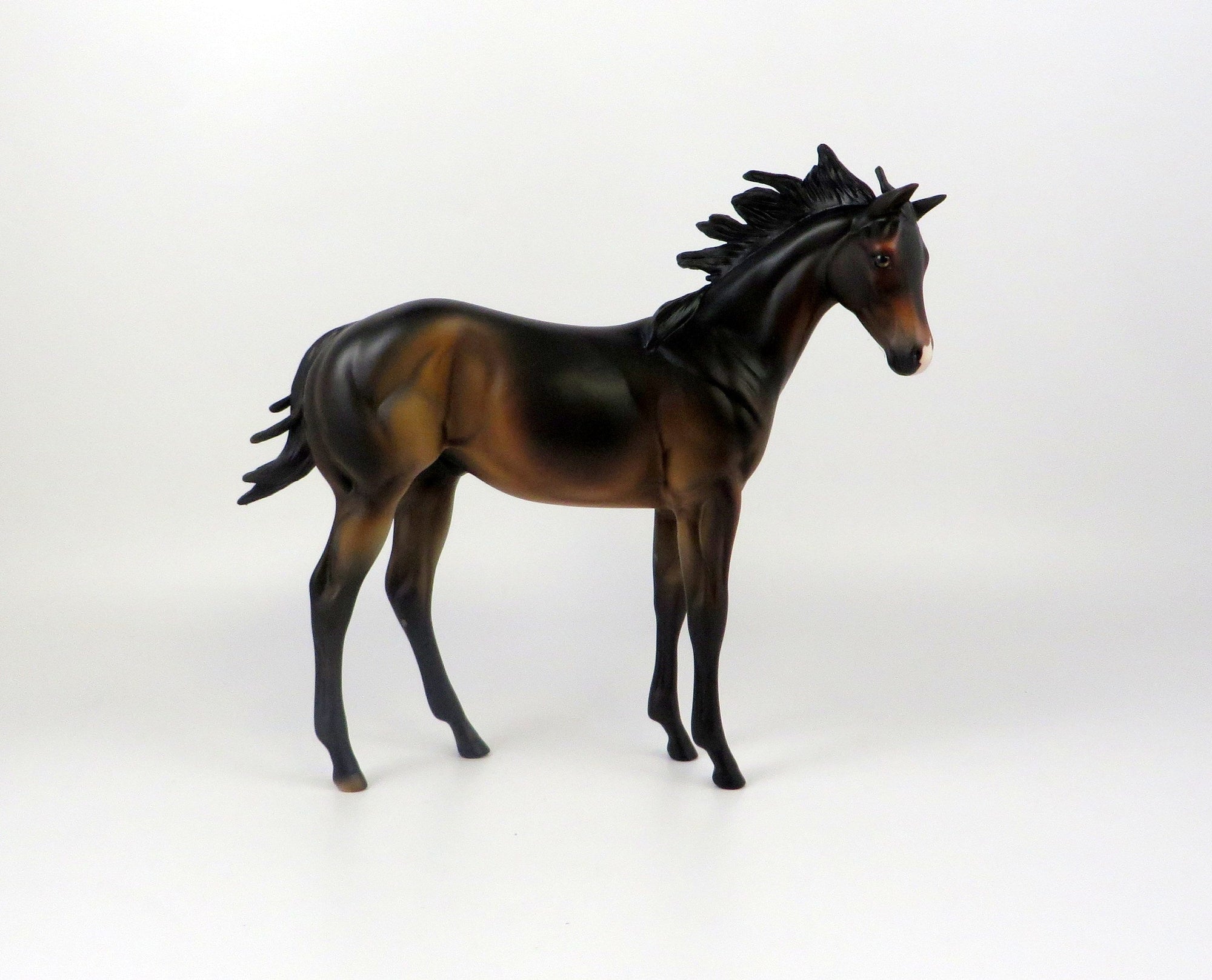 AZTEC-OOAK DARK BAY WEANLING MODEL HORSE 7/18/19