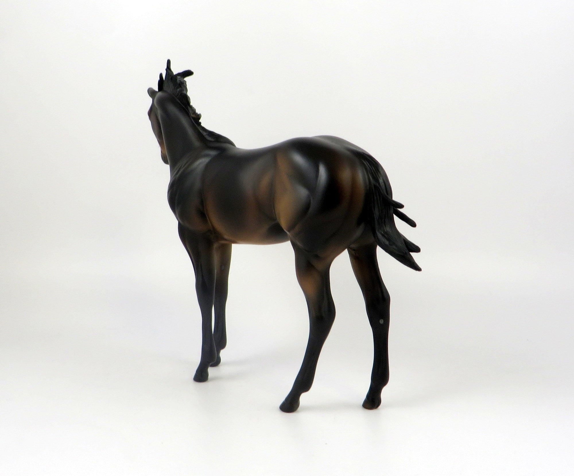 AZTEC-OOAK DARK BAY WEANLING MODEL HORSE 7/18/19