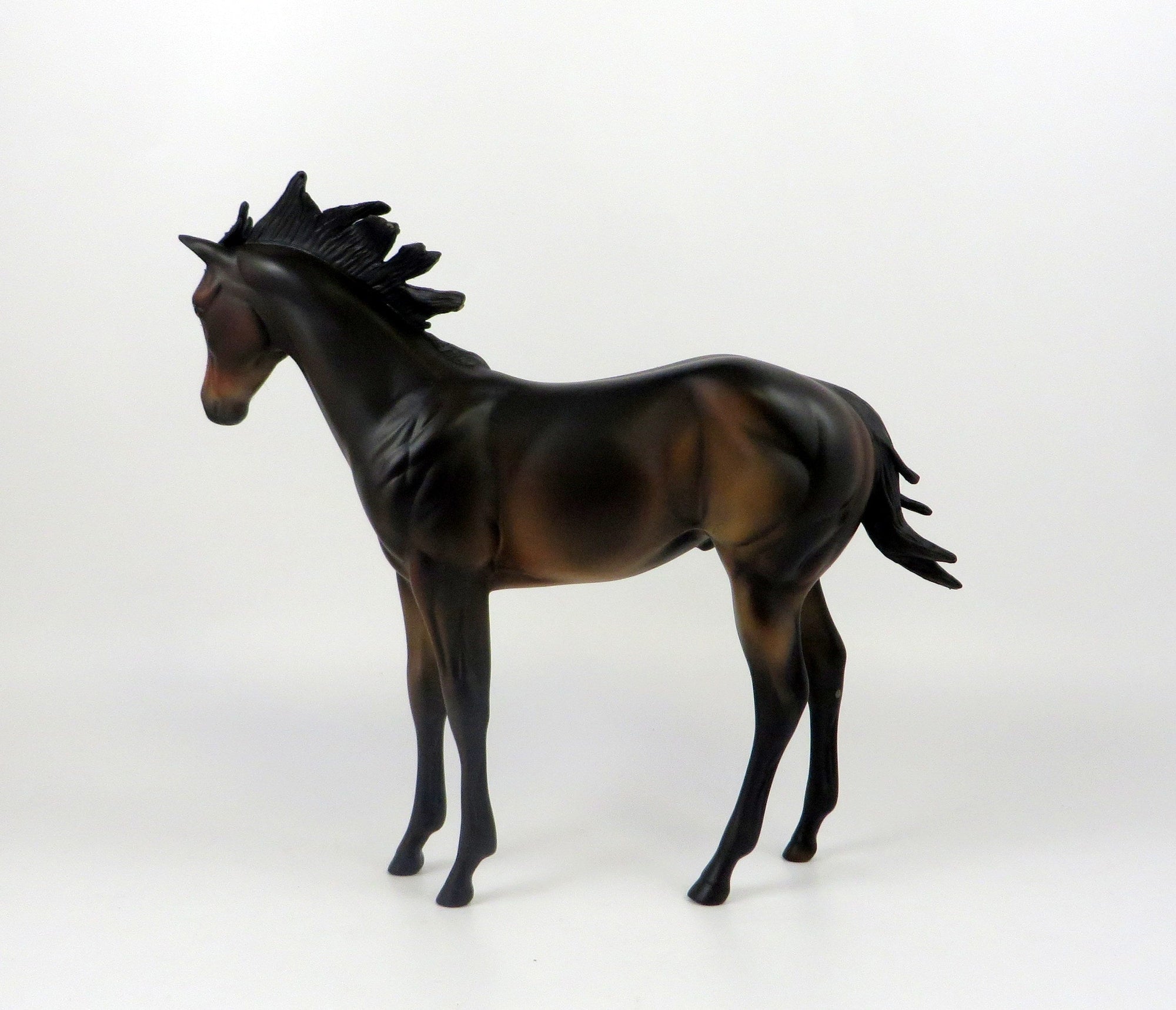 AZTEC-OOAK DARK BAY WEANLING MODEL HORSE 7/18/19