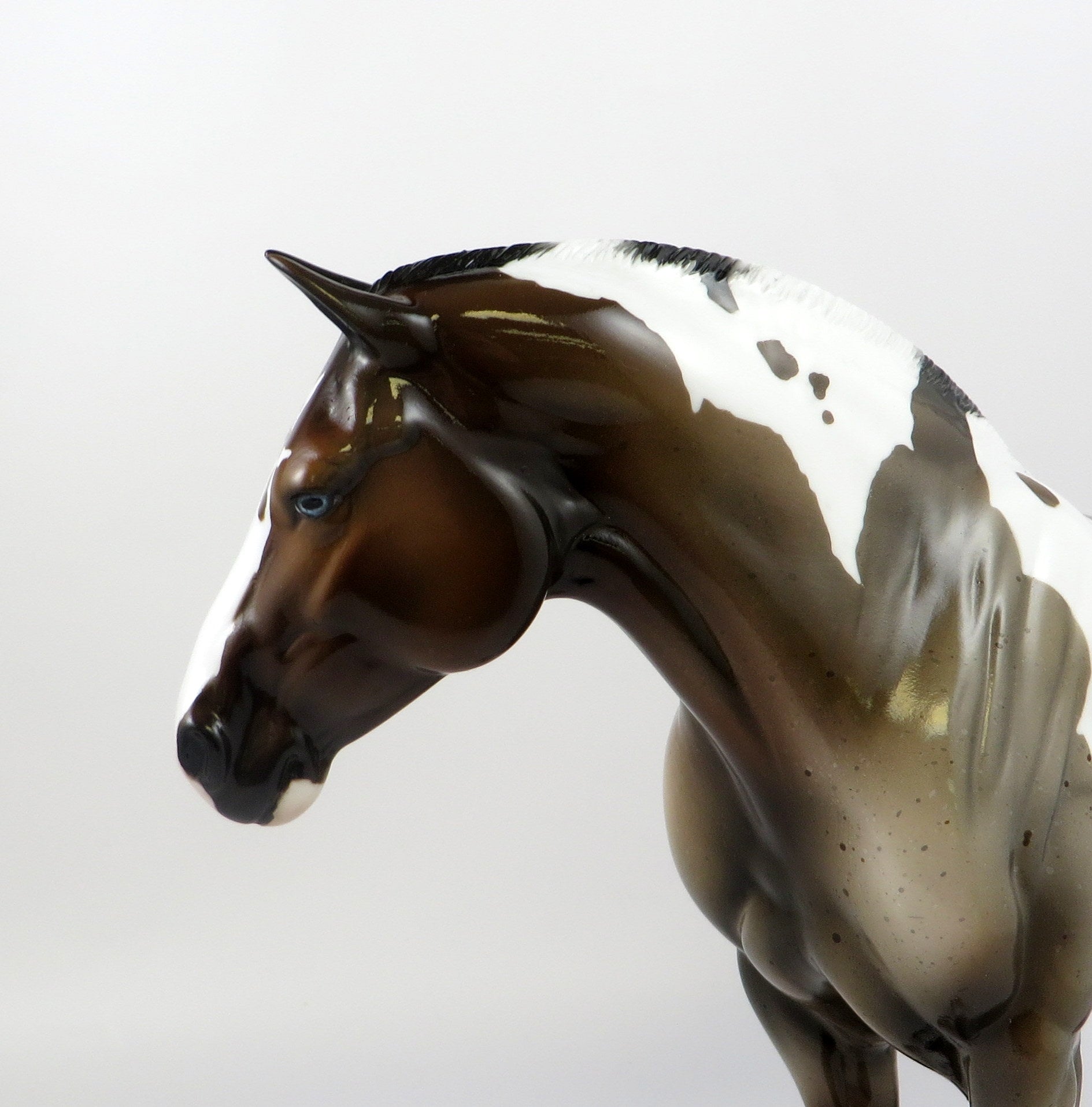 RIDGELINE-OOAK PINTALOOSA HEAVY DRAFT MARE BY DAWN QUICK 7/19/19