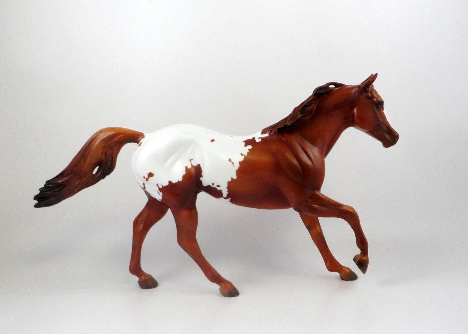 TUX-OOAK CHESTNUT APPALOOSA FOUNDATION QUARTER HORSE MODEL 7/18/19