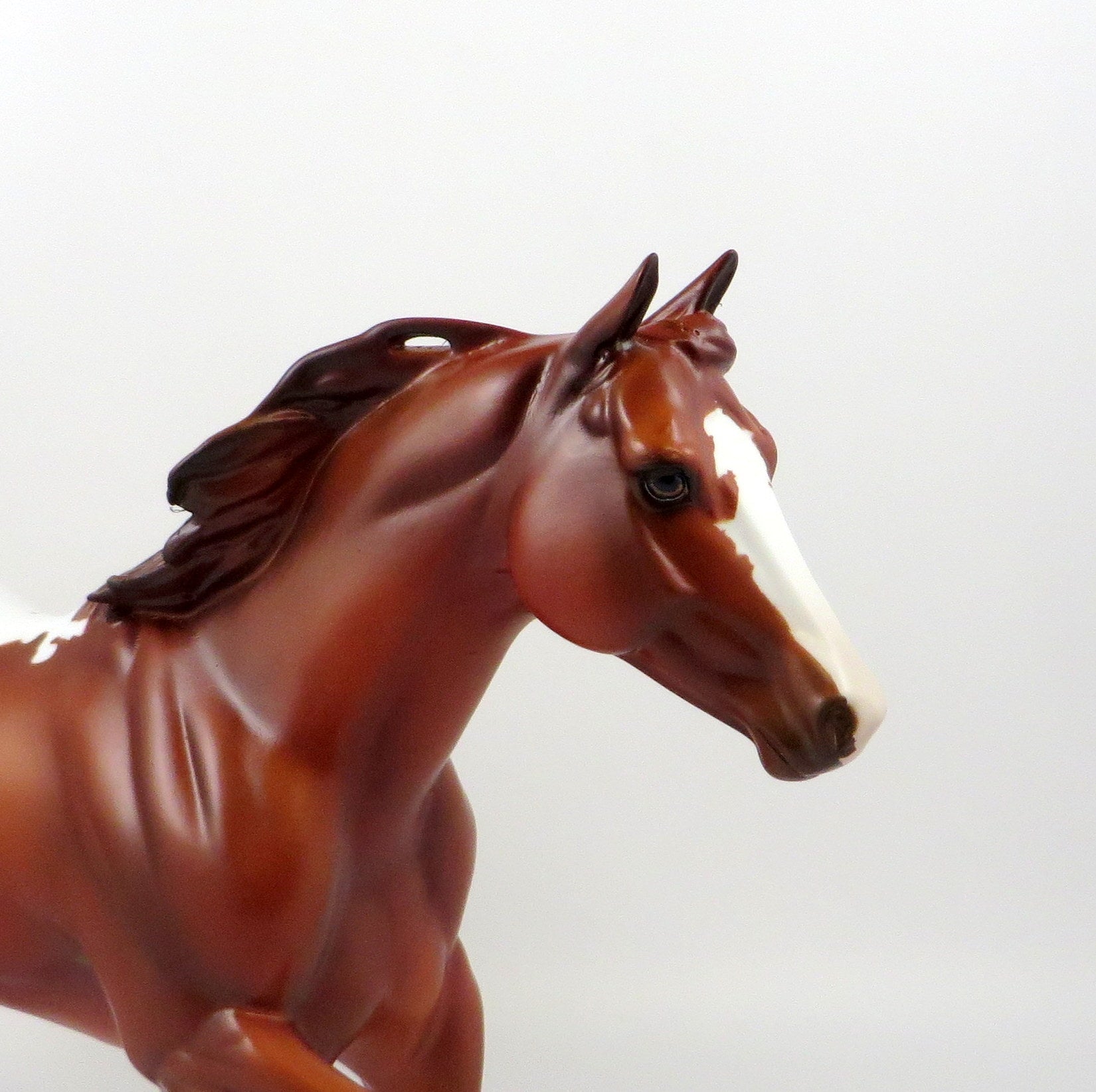 TUX-OOAK CHESTNUT APPALOOSA FOUNDATION QUARTER HORSE MODEL 7/18/19