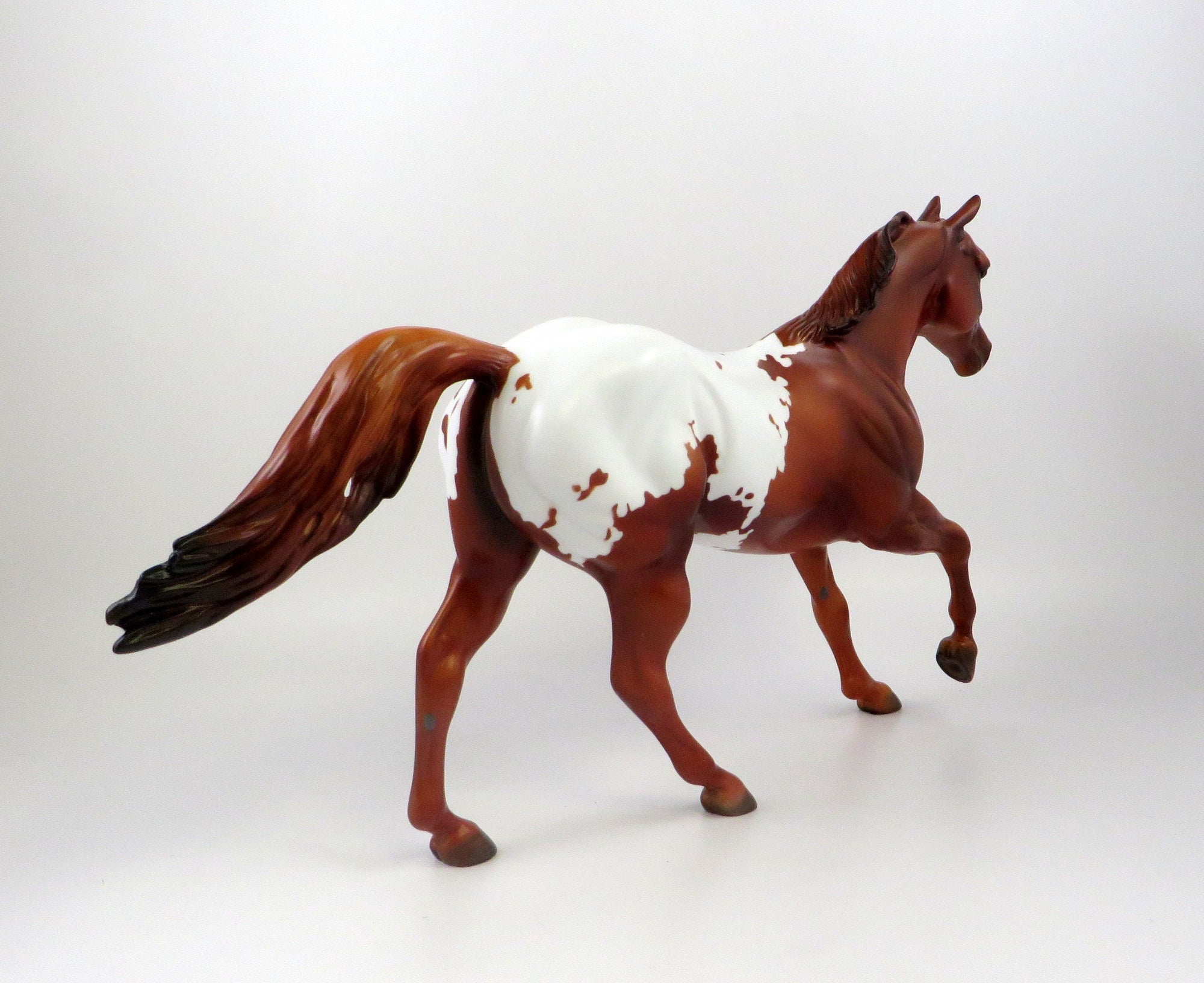 TUX-OOAK CHESTNUT APPALOOSA FOUNDATION QUARTER HORSE MODEL 7/18/19