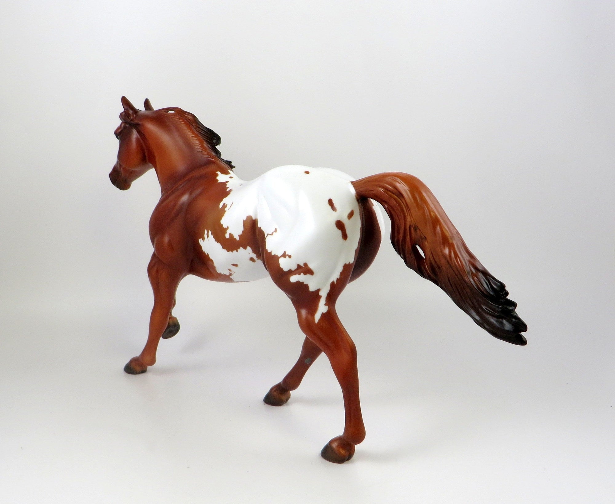 TUX-OOAK CHESTNUT APPALOOSA FOUNDATION QUARTER HORSE MODEL 7/18/19