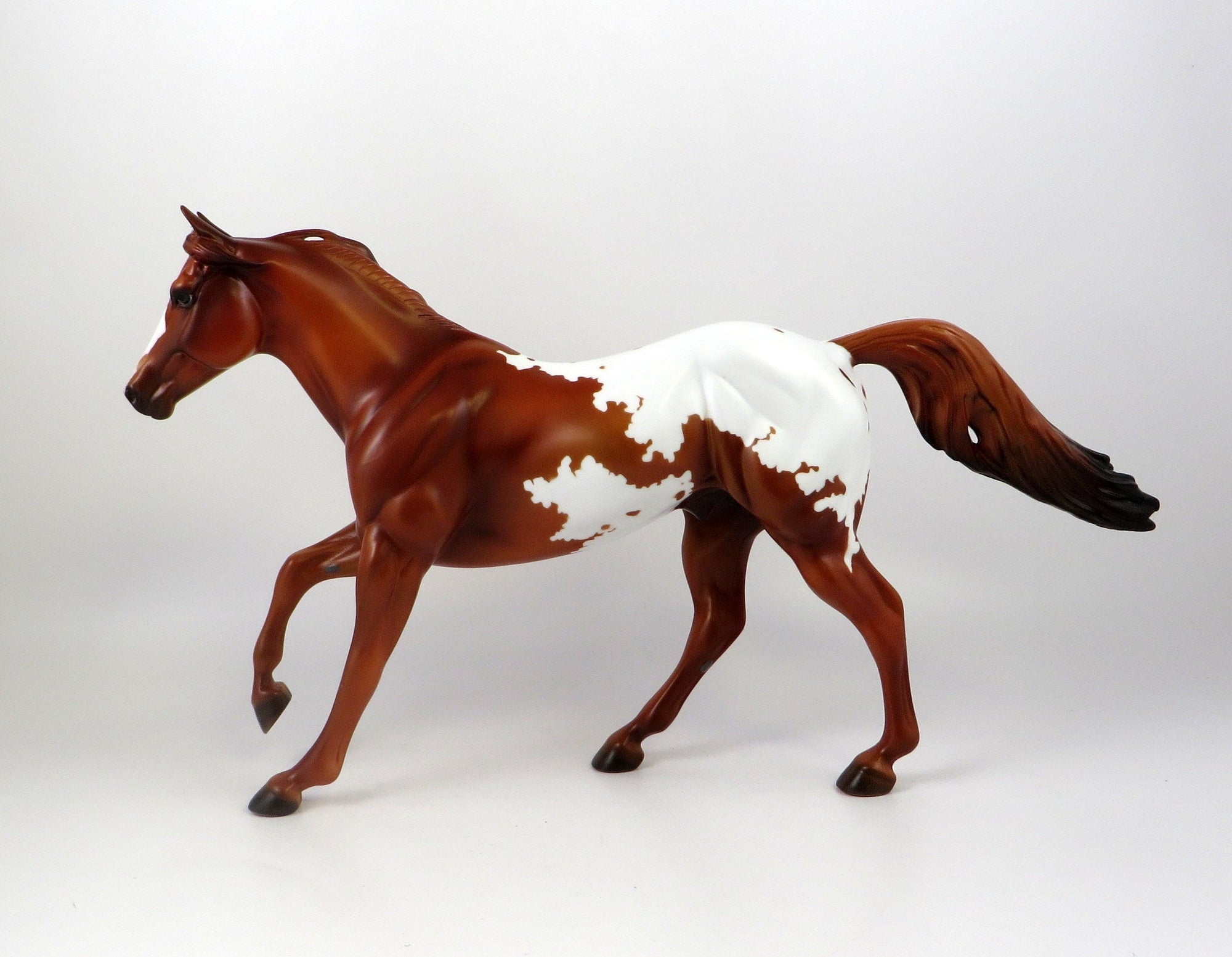 TUX-OOAK CHESTNUT APPALOOSA FOUNDATION QUARTER HORSE MODEL 7/18/19