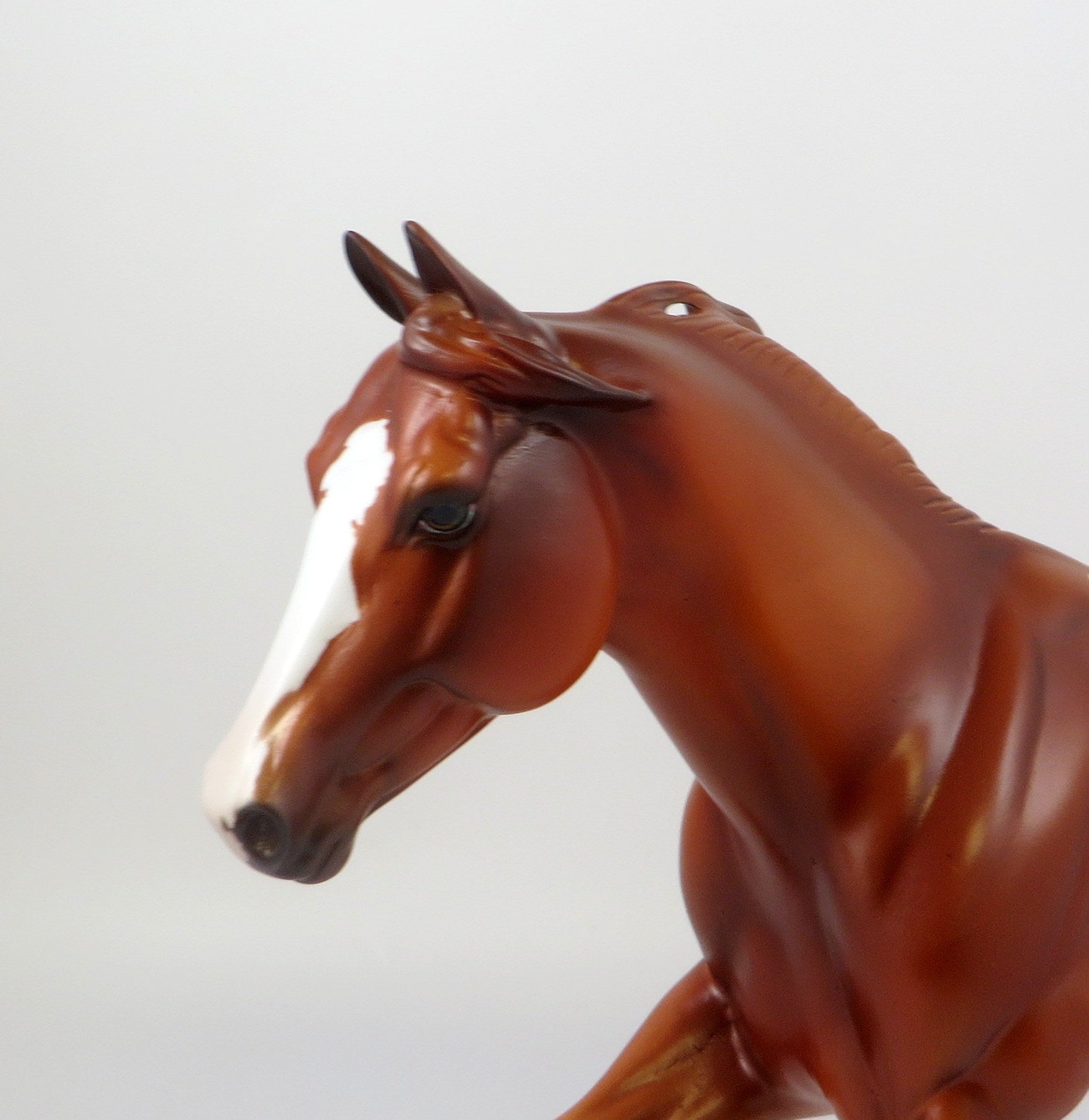 TUX-OOAK CHESTNUT APPALOOSA FOUNDATION QUARTER HORSE MODEL 7/18/19