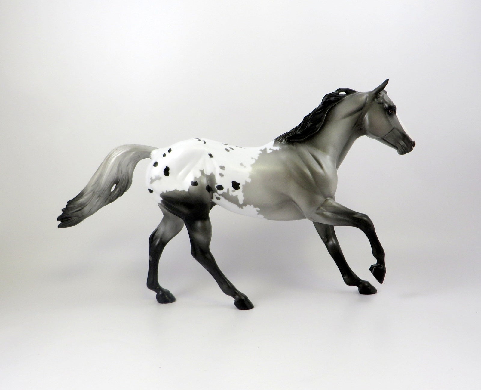 BEEZLEY-OOAK APPALOOSA FOUNDATION QUARTER HORSE 7/19/19