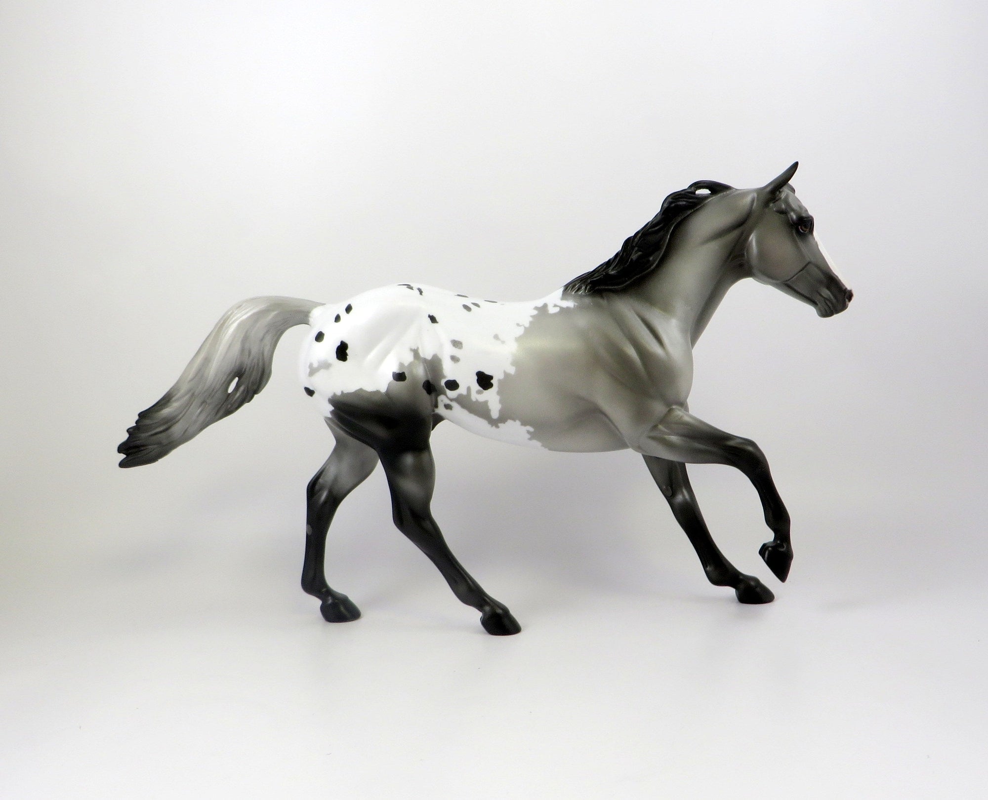 BEEZLEY-OOAK APPALOOSA FOUNDATION QUARTER HORSE 7/19/19