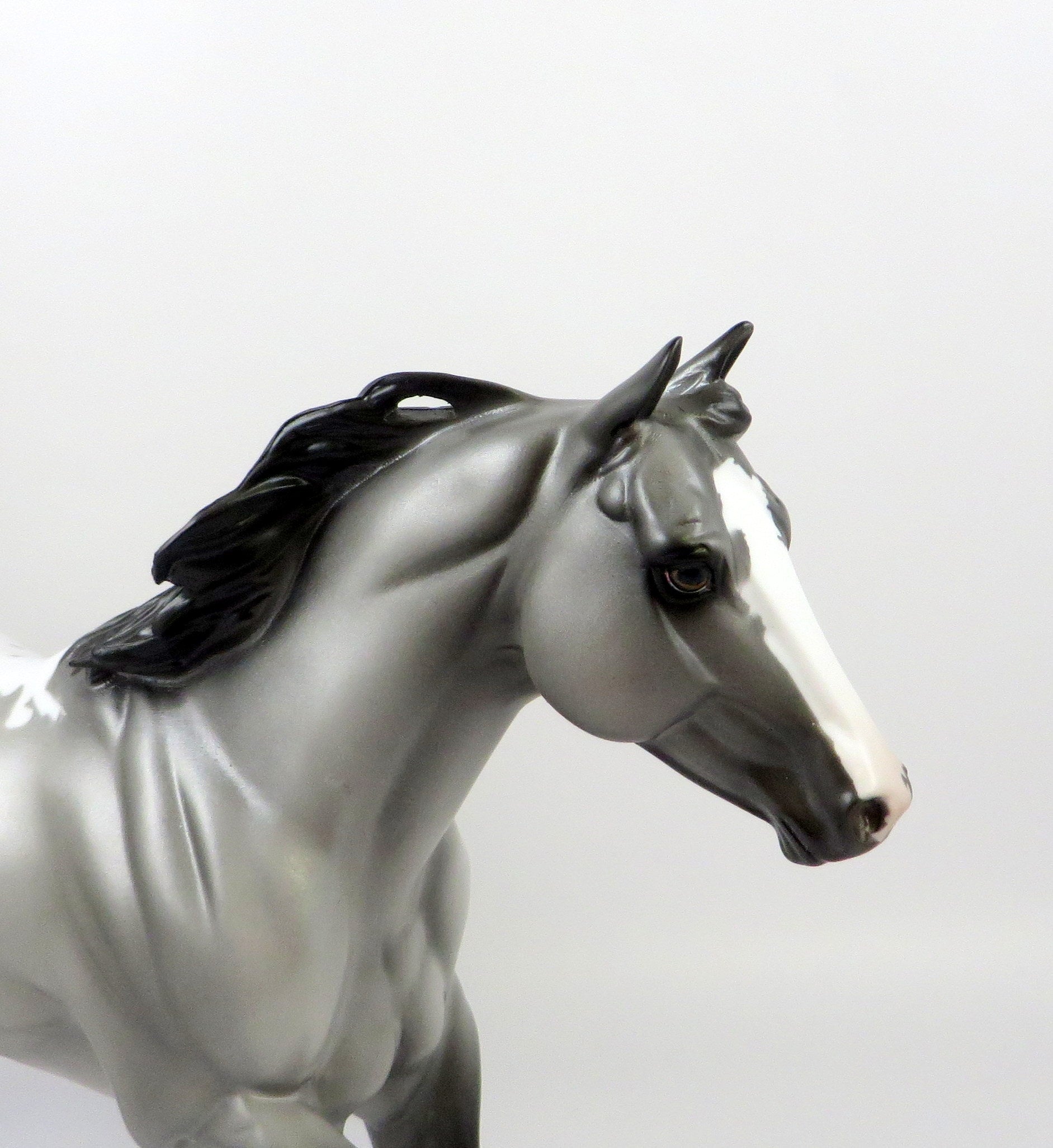 BEEZLEY-OOAK APPALOOSA FOUNDATION QUARTER HORSE 7/19/19