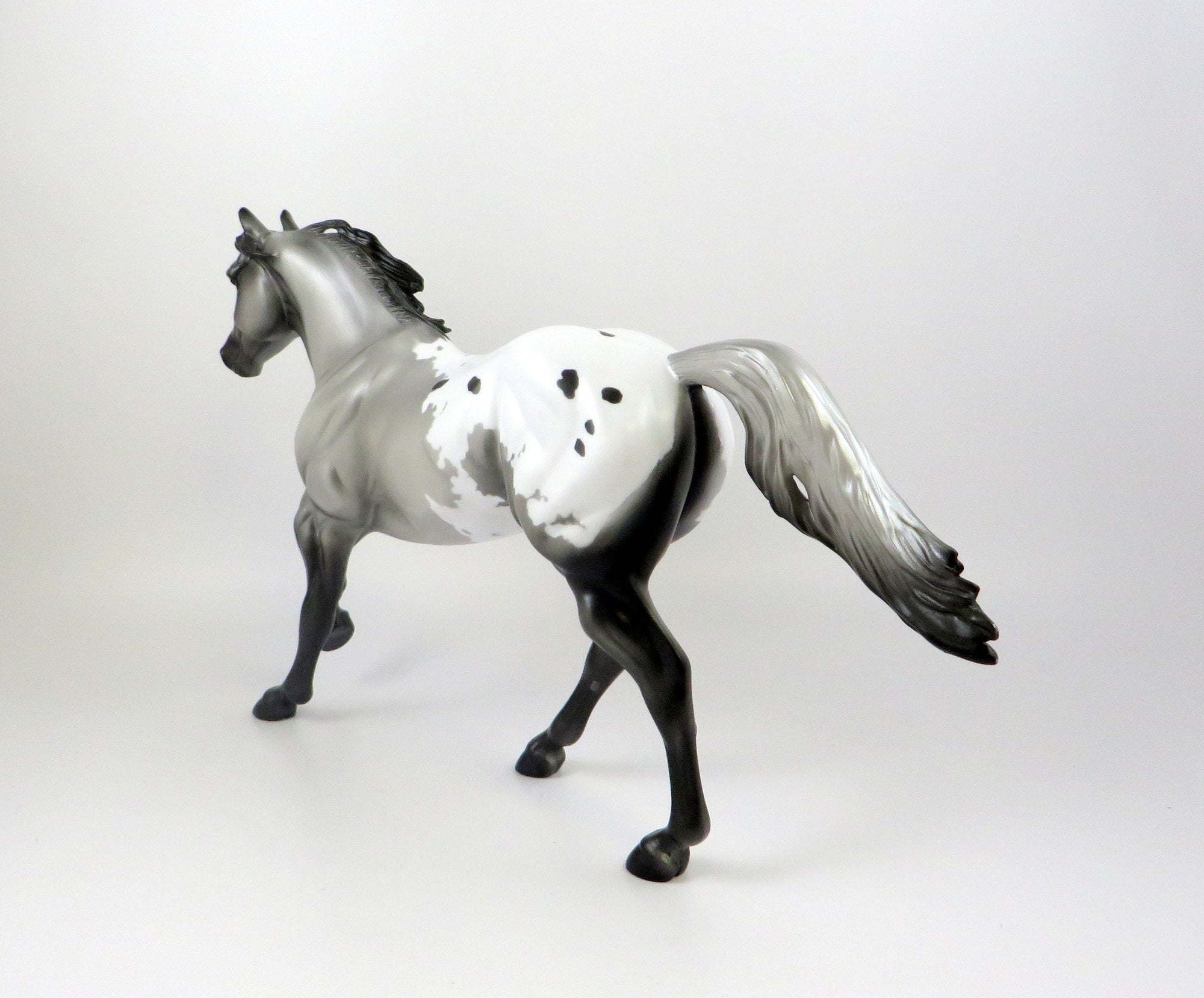 BEEZLEY-OOAK APPALOOSA FOUNDATION QUARTER HORSE 7/19/19