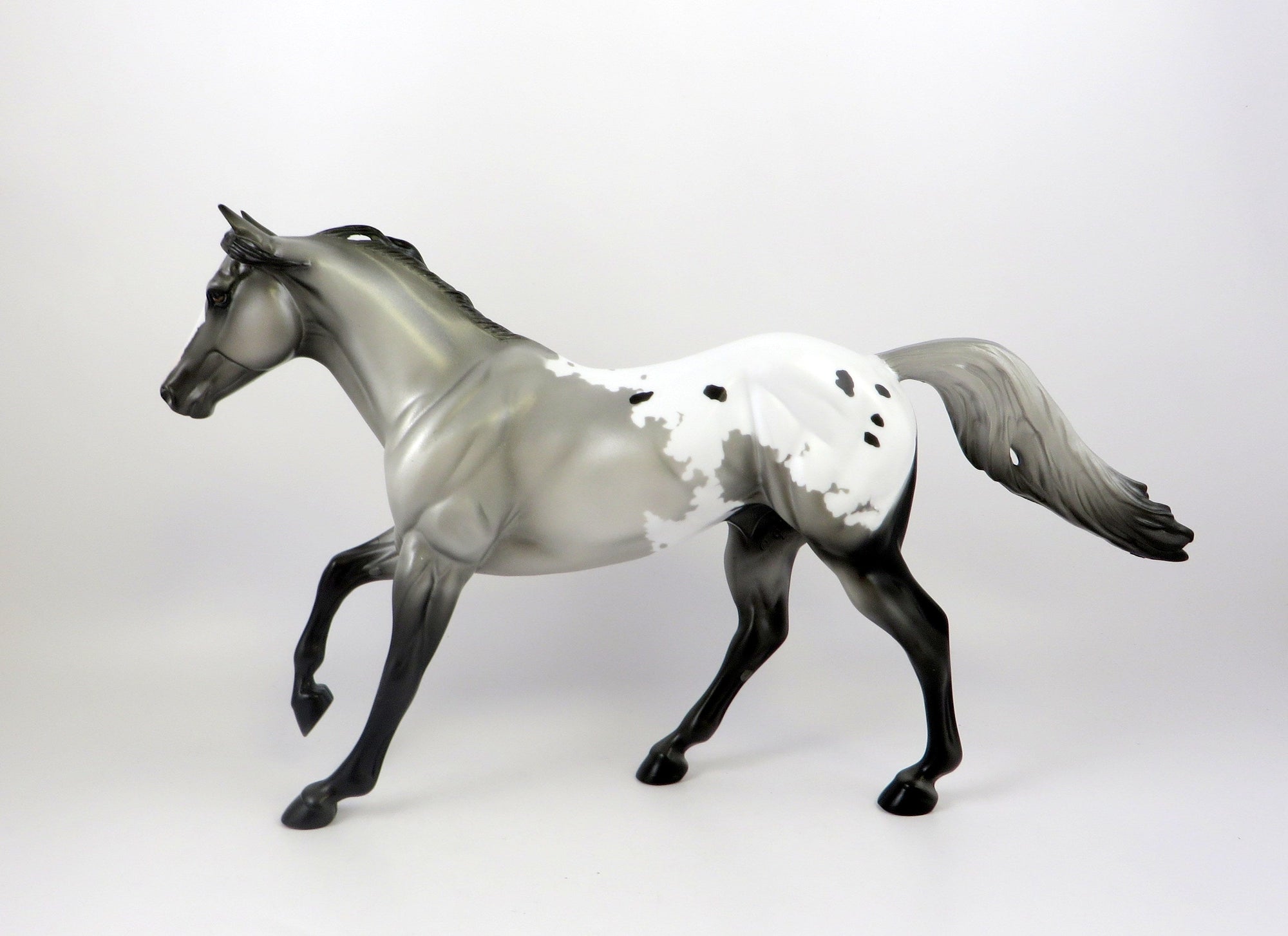 BEEZLEY-OOAK APPALOOSA FOUNDATION QUARTER HORSE 7/19/19