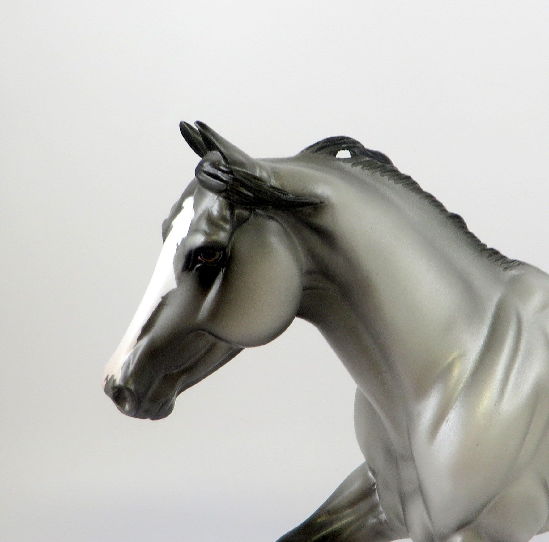 BEEZLEY-OOAK APPALOOSA FOUNDATION QUARTER HORSE 7/19/19