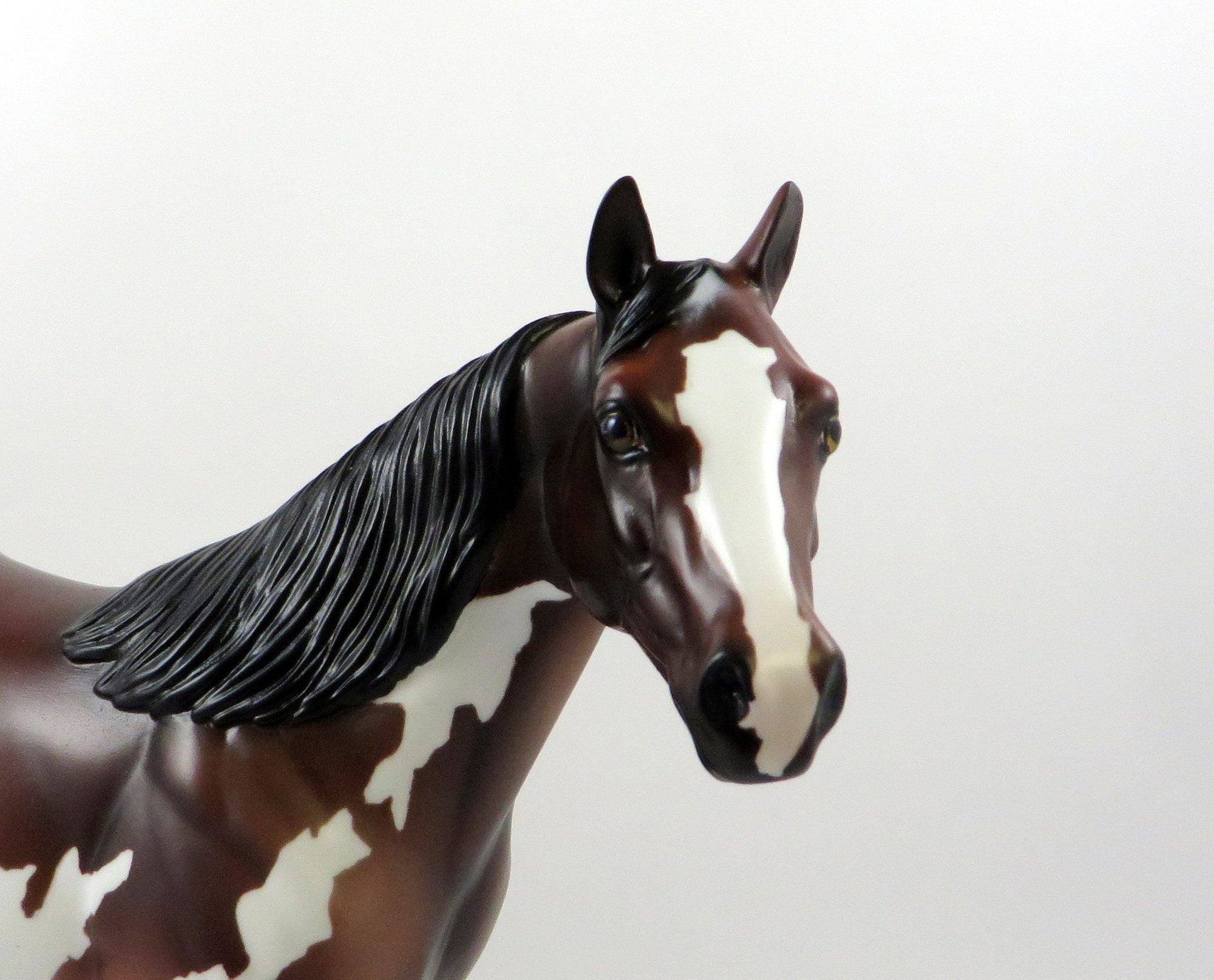 TAZMAN-OOAK BAY ROAN PAINT ISH MODEL HORSE 7/22