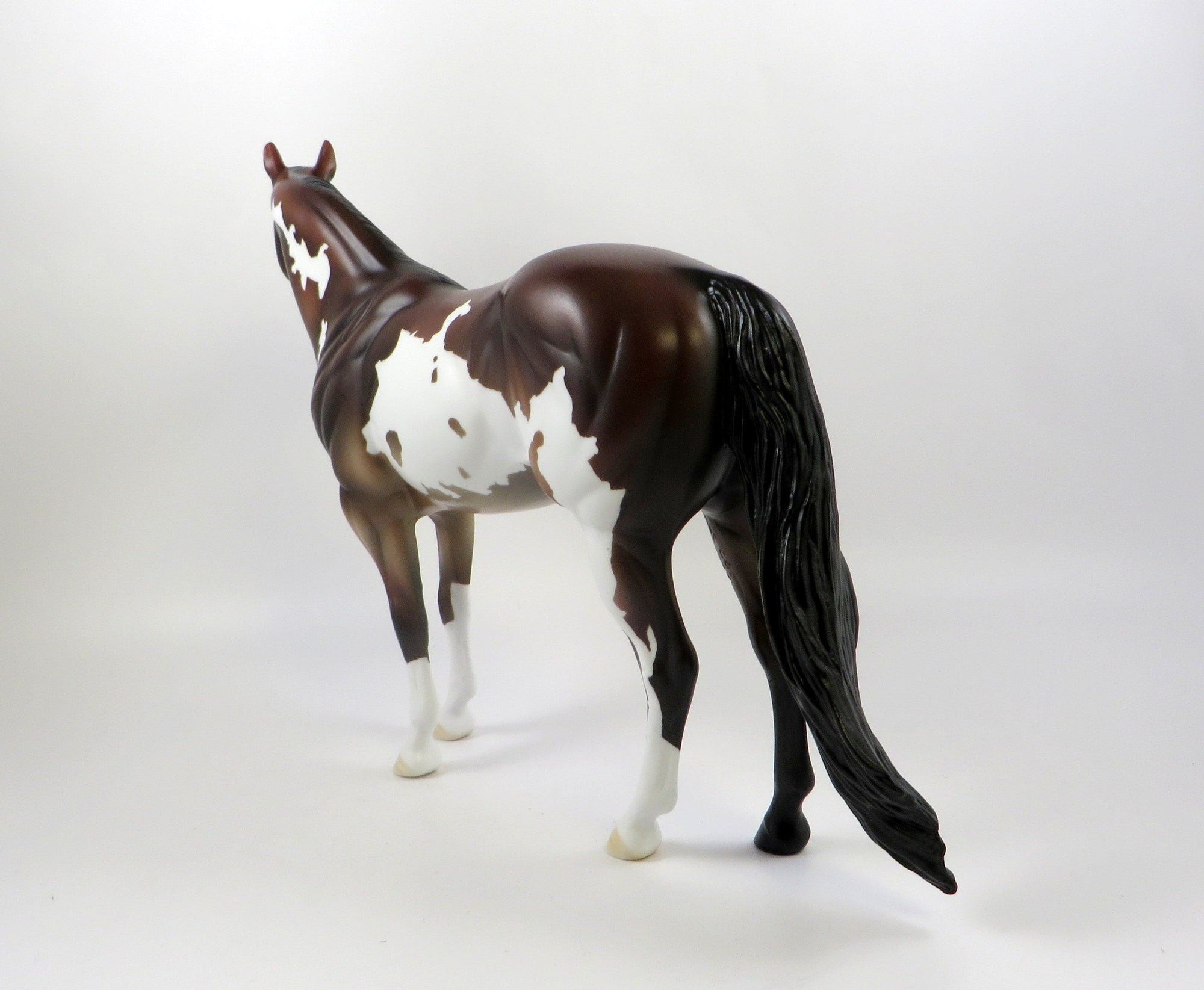 TAZMAN-OOAK BAY ROAN PAINT ISH MODEL HORSE 7/22