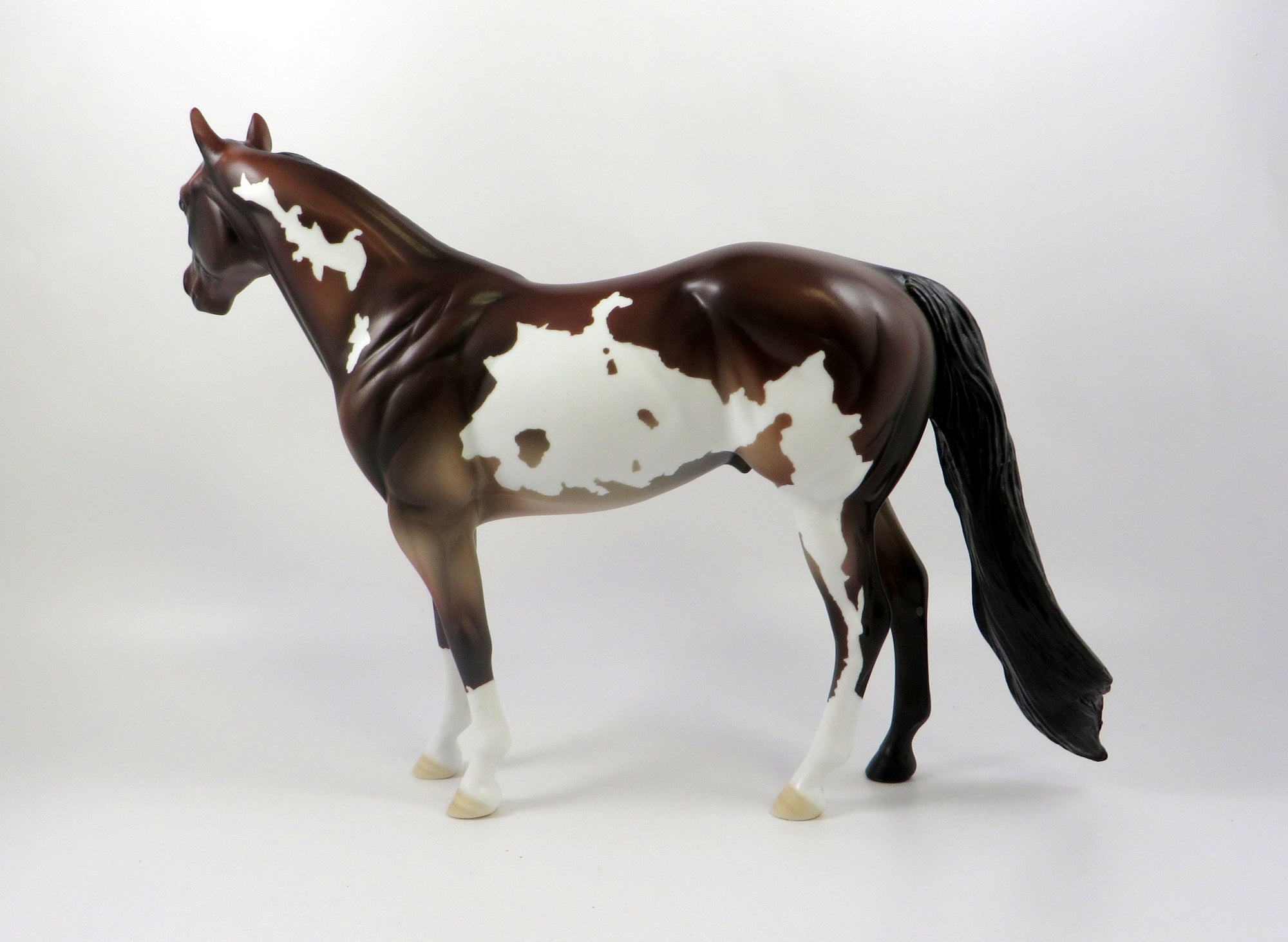 TAZMAN-OOAK BAY ROAN PAINT ISH MODEL HORSE 7/22