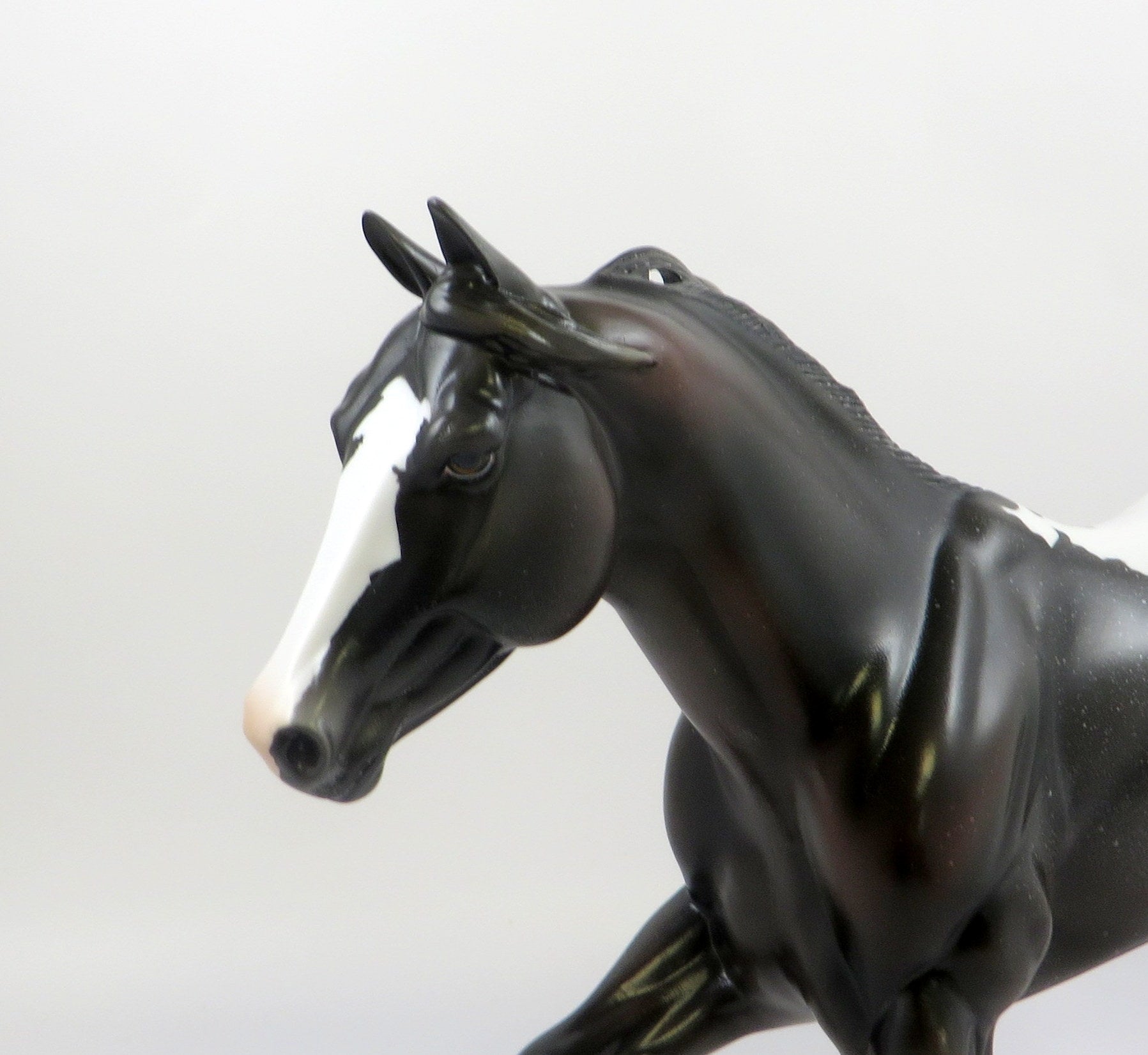 JUST MY STYLE-OOAK ROSE GREY APPALOOSA FOUNDATION QUARTER HORSE 7/22