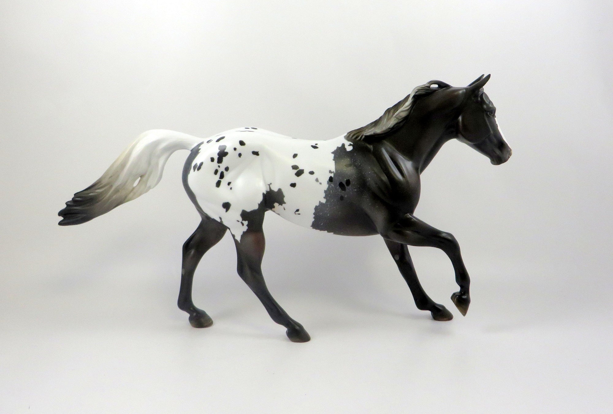 JUST MY STYLE-OOAK ROSE GREY APPALOOSA FOUNDATION QUARTER HORSE 7/22
