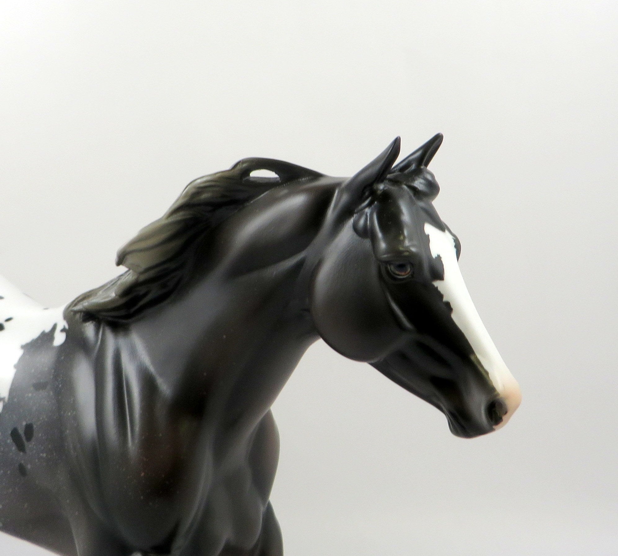 JUST MY STYLE-OOAK ROSE GREY APPALOOSA FOUNDATION QUARTER HORSE 7/22