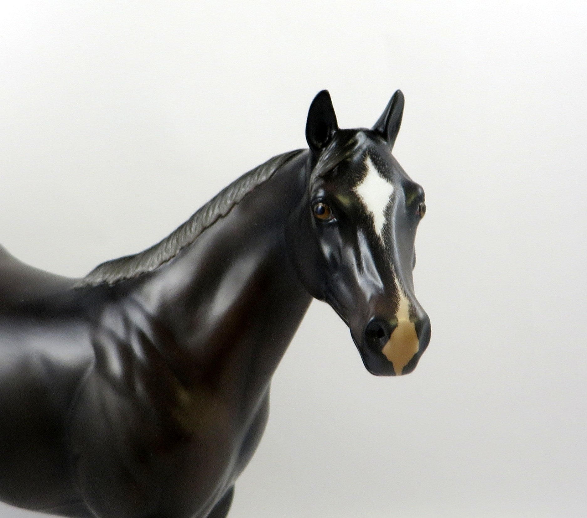 NEVADA SKY-OOAK BAY GOING GREY ISH MODEL HORSE 7/22/19