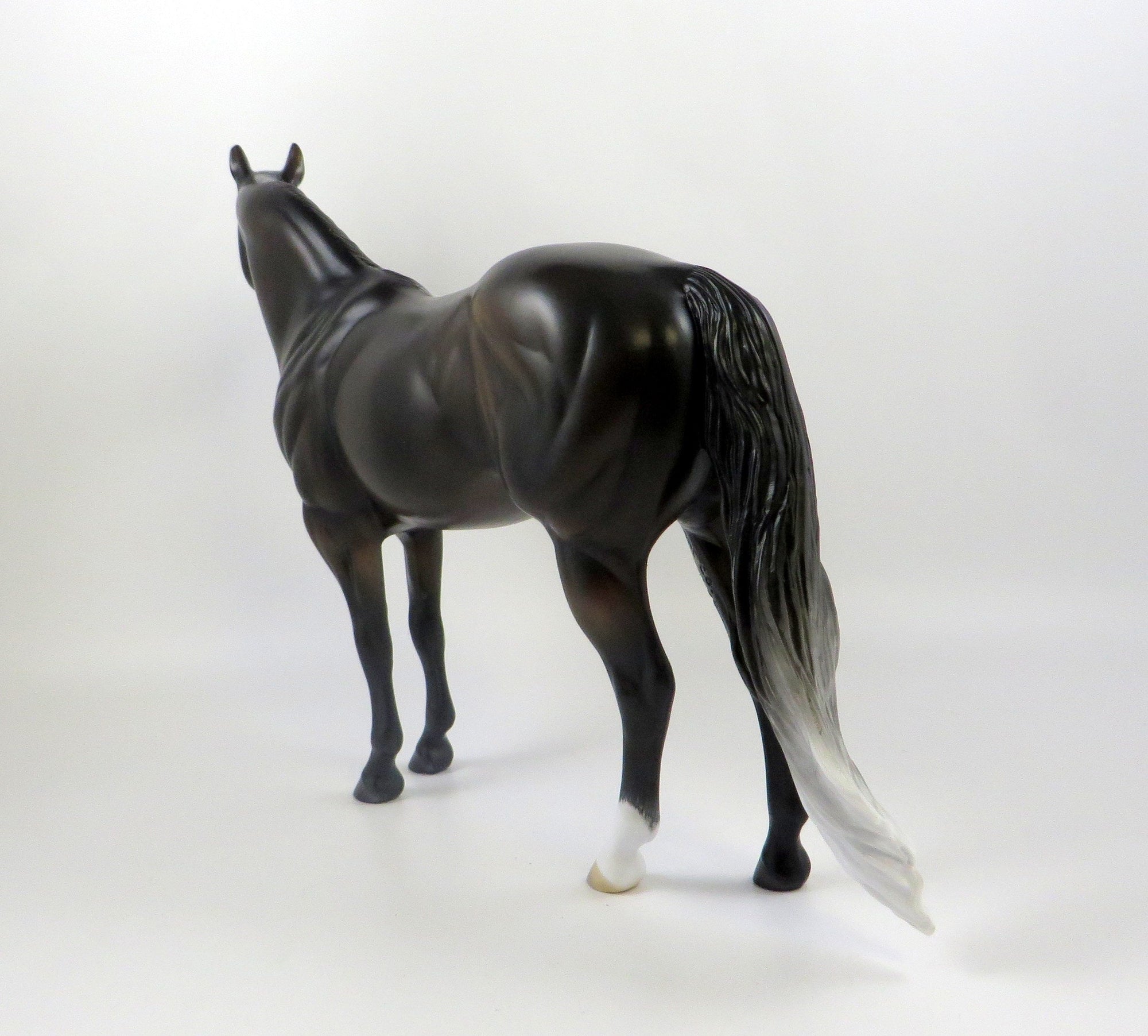 NEVADA SKY-OOAK BAY GOING GREY ISH MODEL HORSE 7/22/19