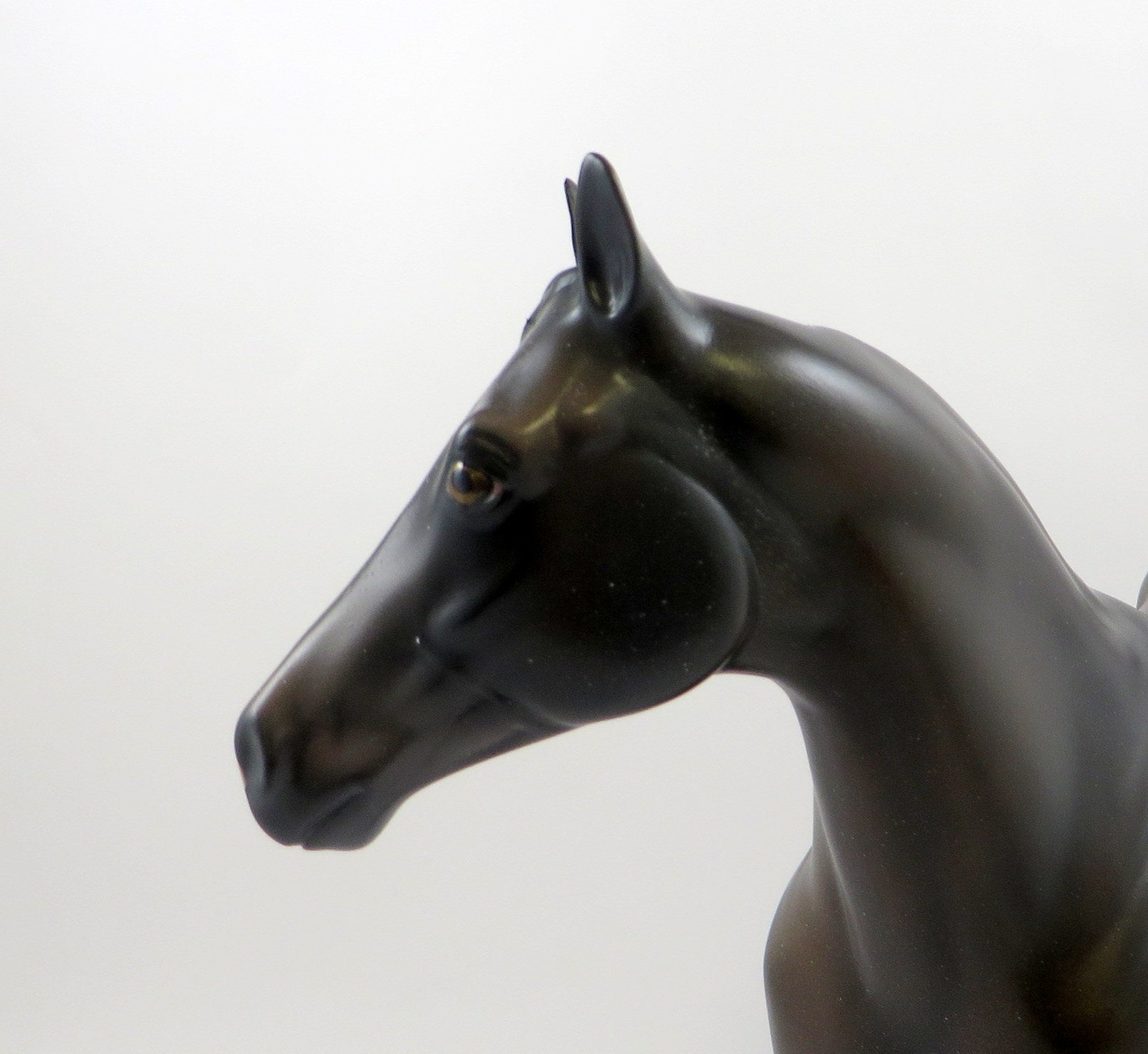 NEVADA SKY-OOAK BAY GOING GREY ISH MODEL HORSE 7/22/19