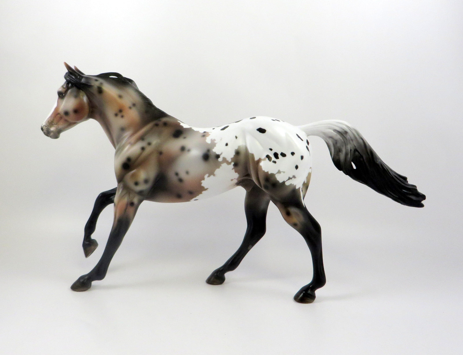 POSSIBLY ME-OOAK SPOTTED BAY APPALOOSA FOUNDATION QUARTER HORSE 7/22