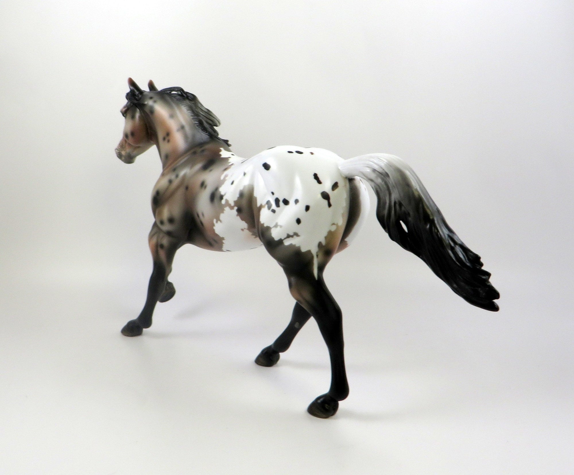 POSSIBLY ME-OOAK SPOTTED BAY APPALOOSA FOUNDATION QUARTER HORSE 7/22