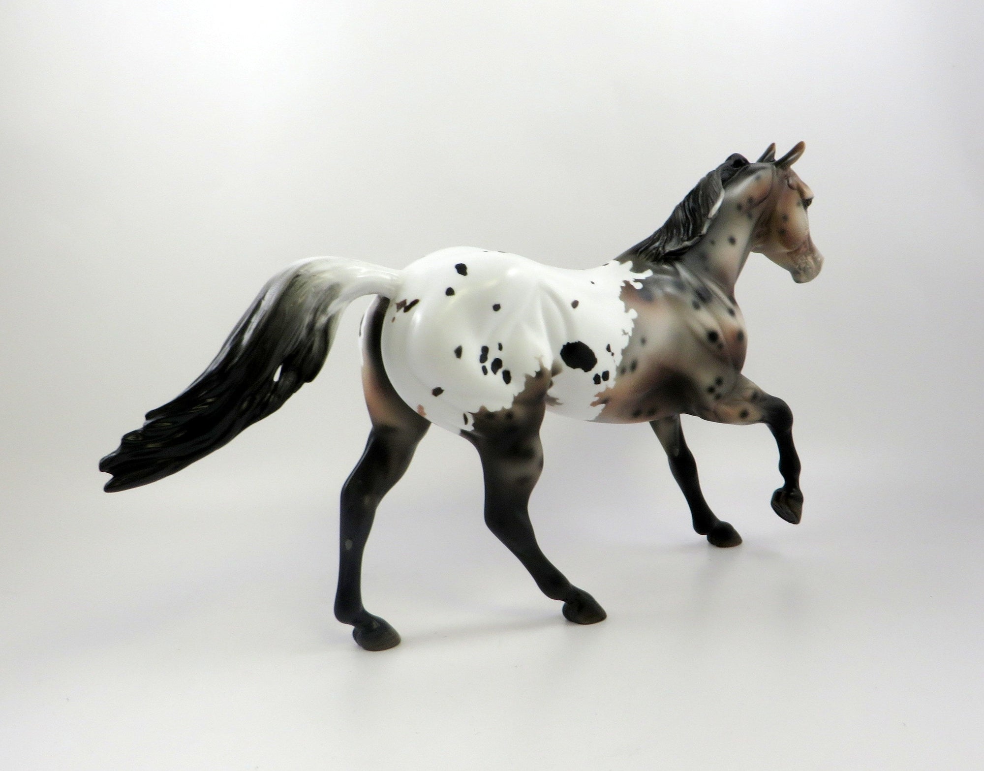 POSSIBLY ME-OOAK SPOTTED BAY APPALOOSA FOUNDATION QUARTER HORSE 7/22