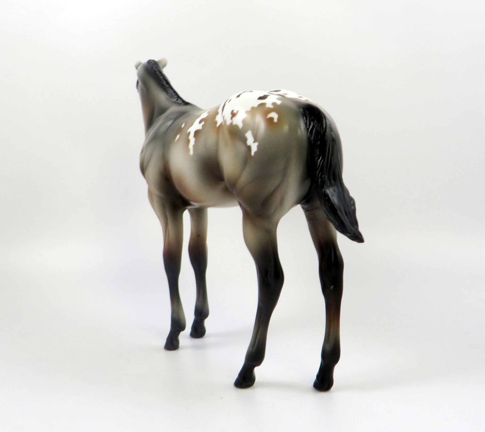 MYLIE-LE-4 BAY ROAN APPALOOSA WEANLING MODEL HORSE 7/22