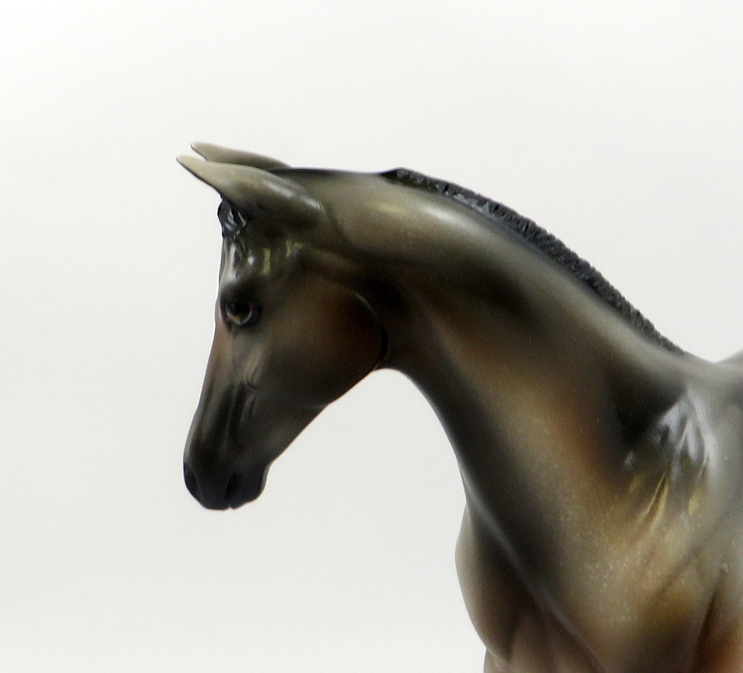 MYLIE-LE-4 BAY ROAN APPALOOSA WEANLING MODEL HORSE 7/22