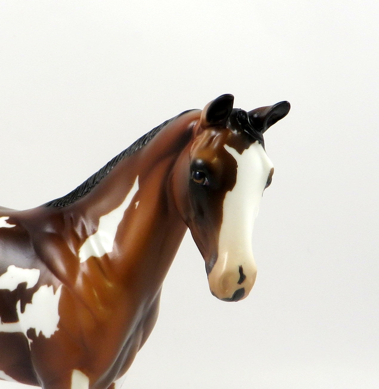 CALUA-OOAK BAY OVERO WEANLING MODEL HORSE 7/22/19