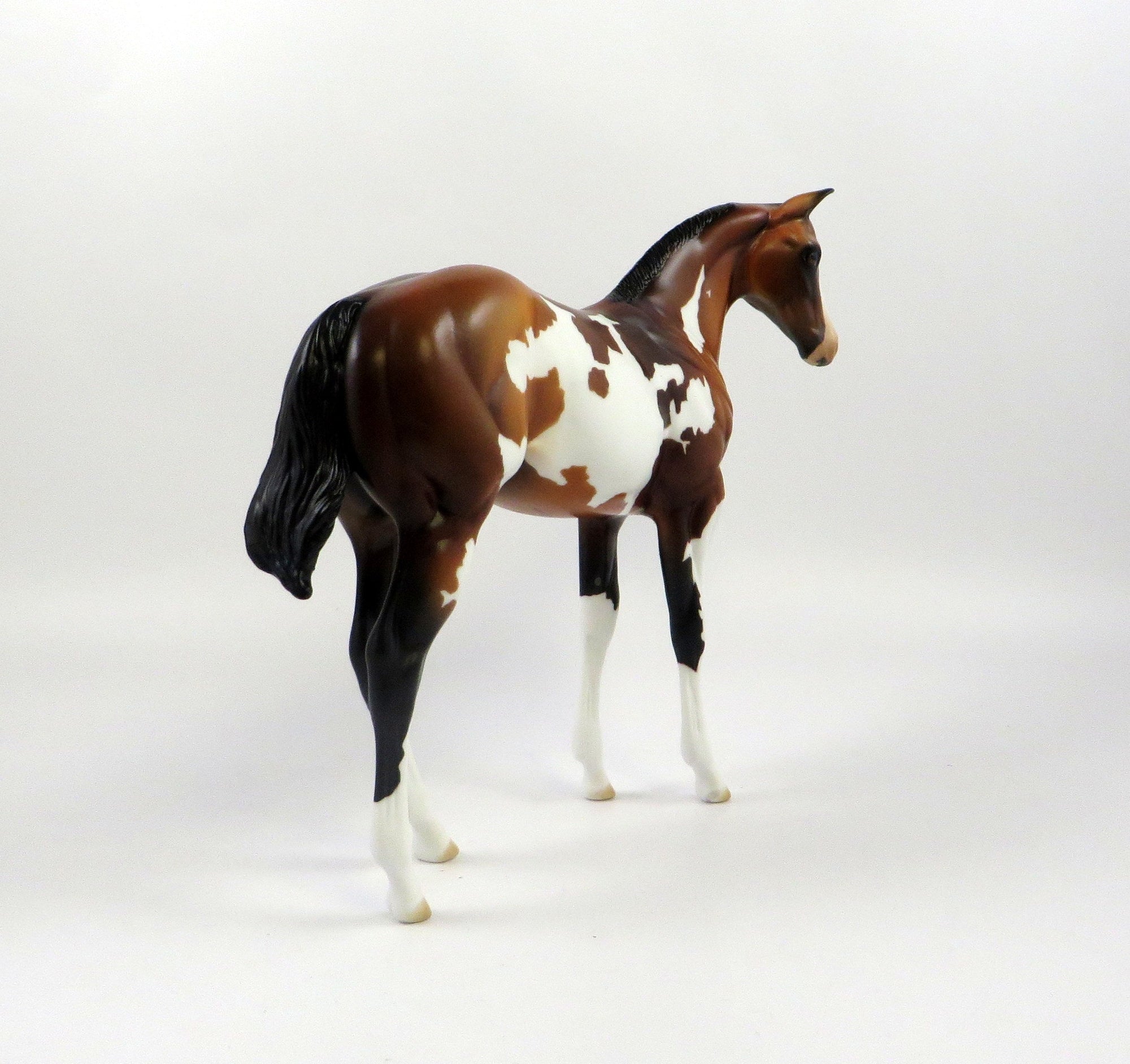 CALUA-OOAK BAY OVERO WEANLING MODEL HORSE 7/22/19