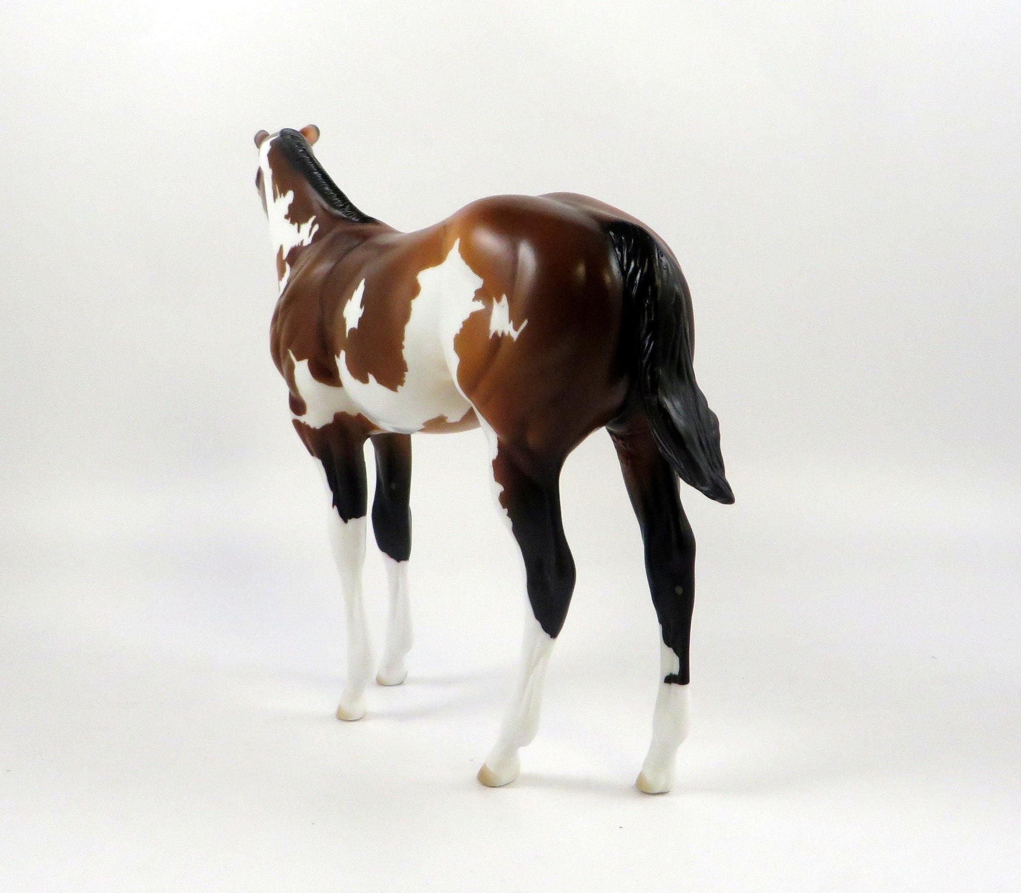 CALUA-OOAK BAY OVERO WEANLING MODEL HORSE 7/22/19