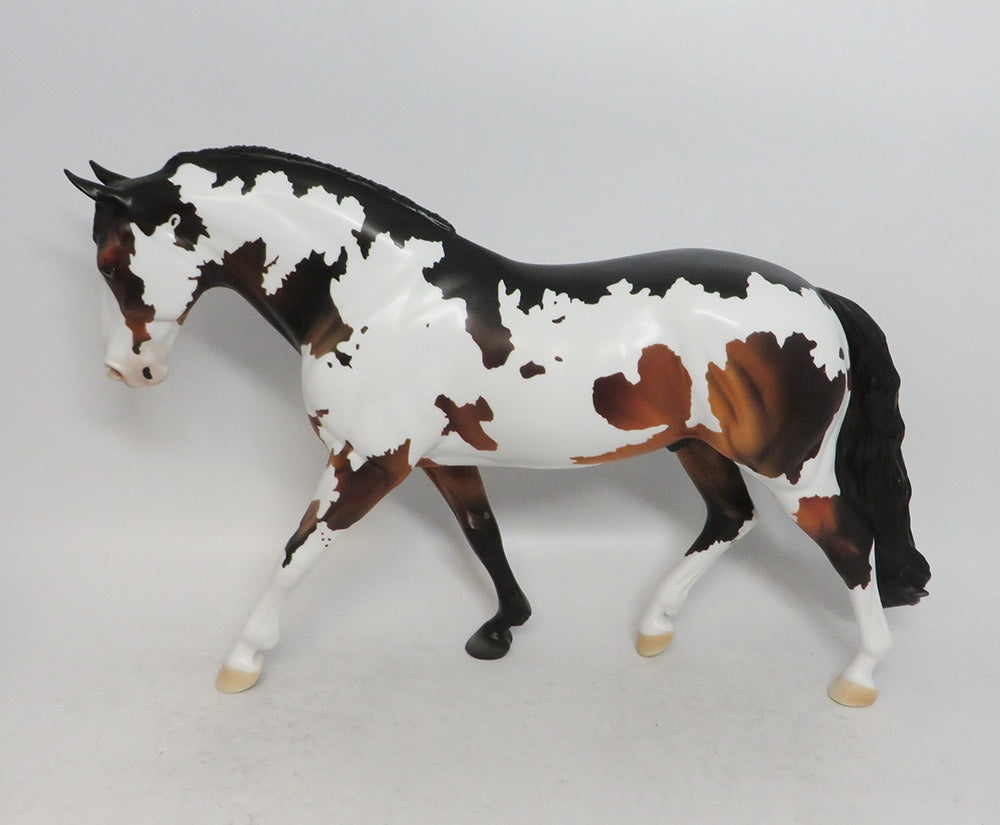 BAY PINTO IRISH DRAFTER