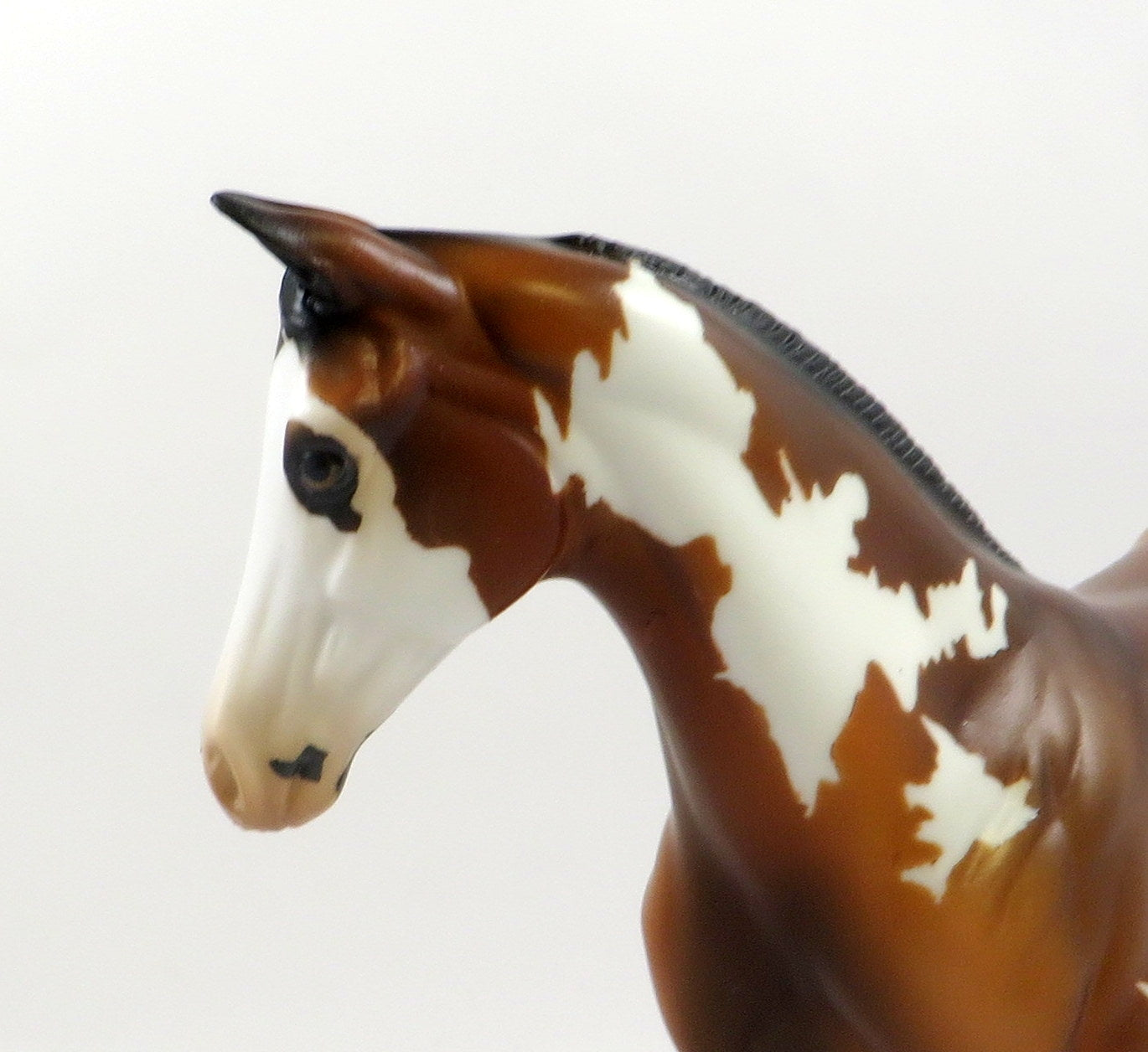 CALUA-OOAK BAY OVERO WEANLING MODEL HORSE 7/22/19