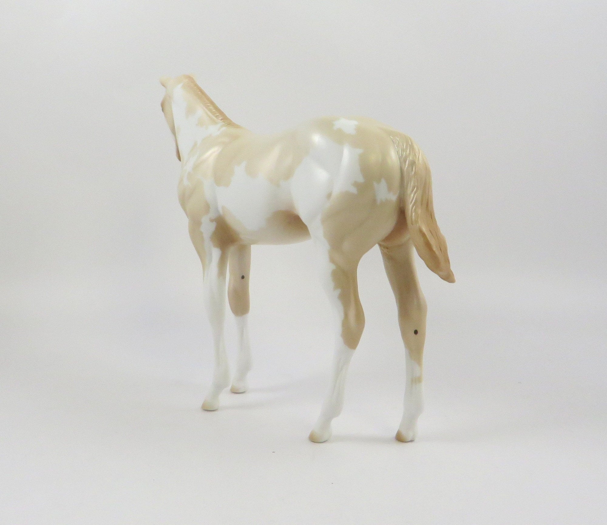 VOGUE-OOAK PERLINO OVERO WEANLING MODEL HORSE 7/22/19