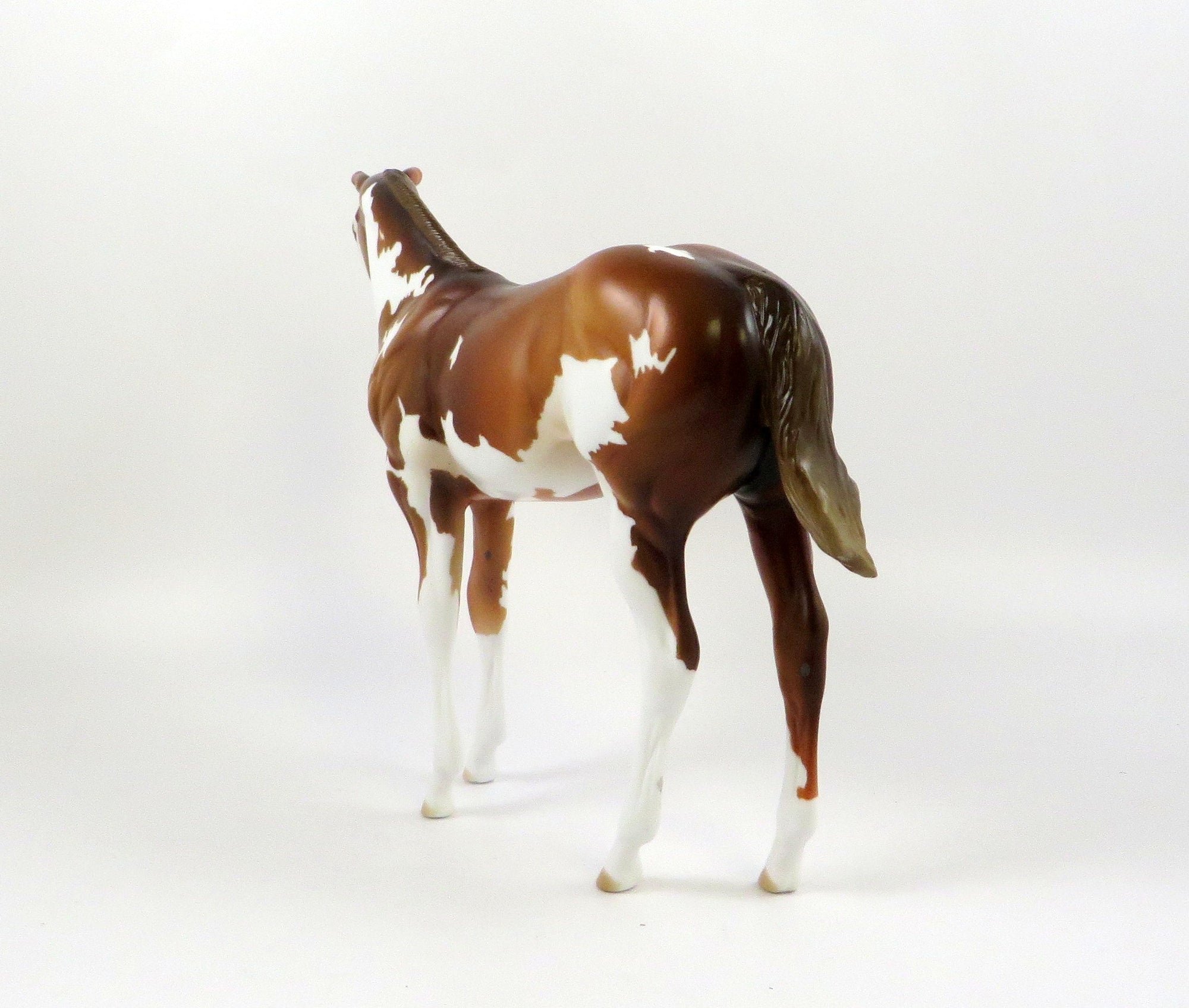 VERSE-OOAK CHESTNUT OVERO WEANLING MODEL HORSE 7/22/19