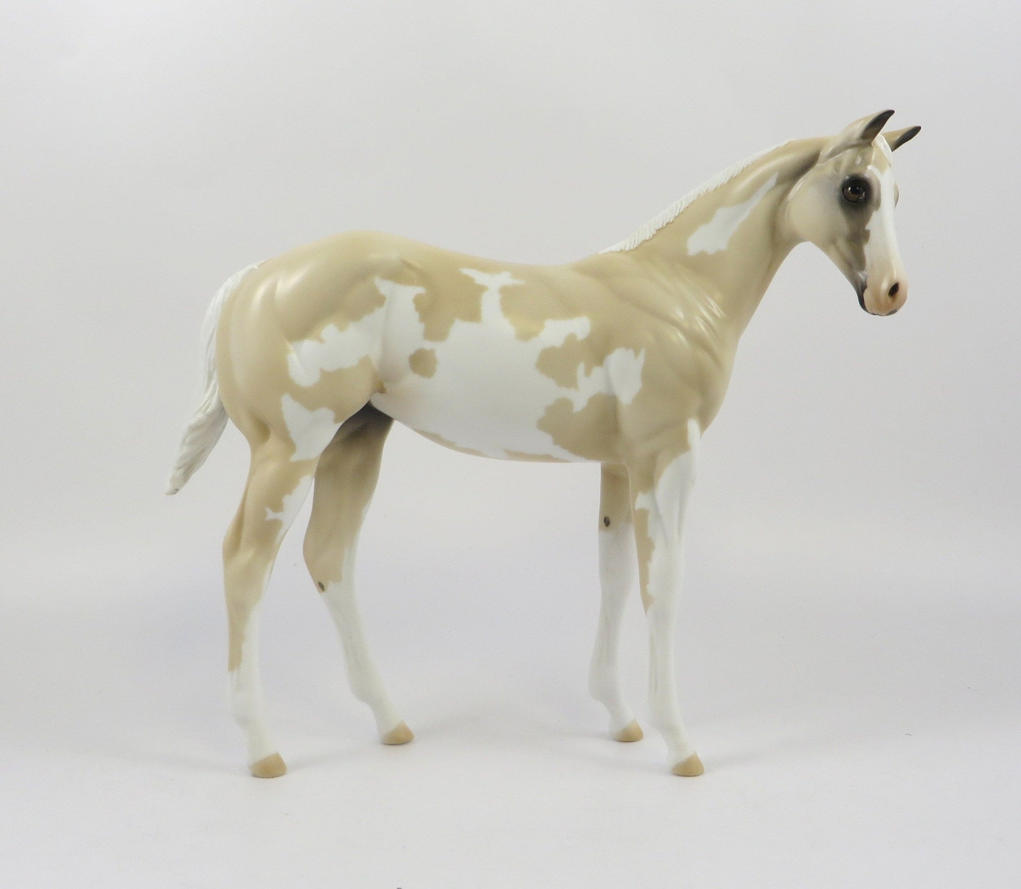 MOON FOAL-OOAK PALOMINO OVERO WEANLING MODEL HORSE 7/22/19