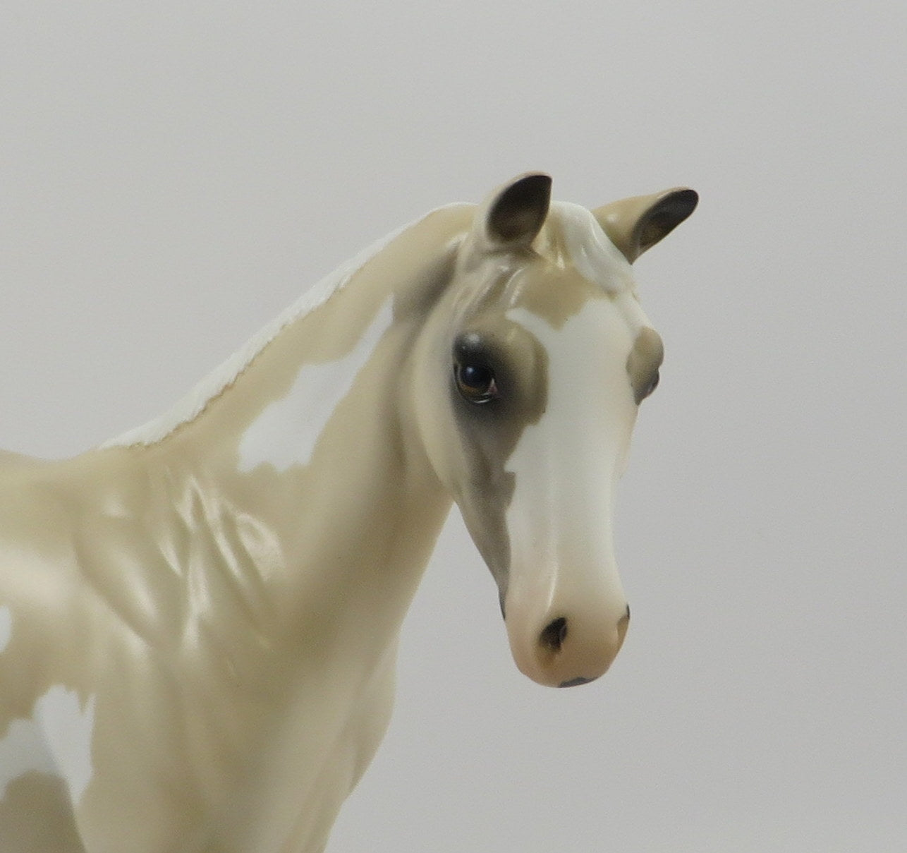 MOON FOAL-OOAK PALOMINO OVERO WEANLING MODEL HORSE 7/22/19