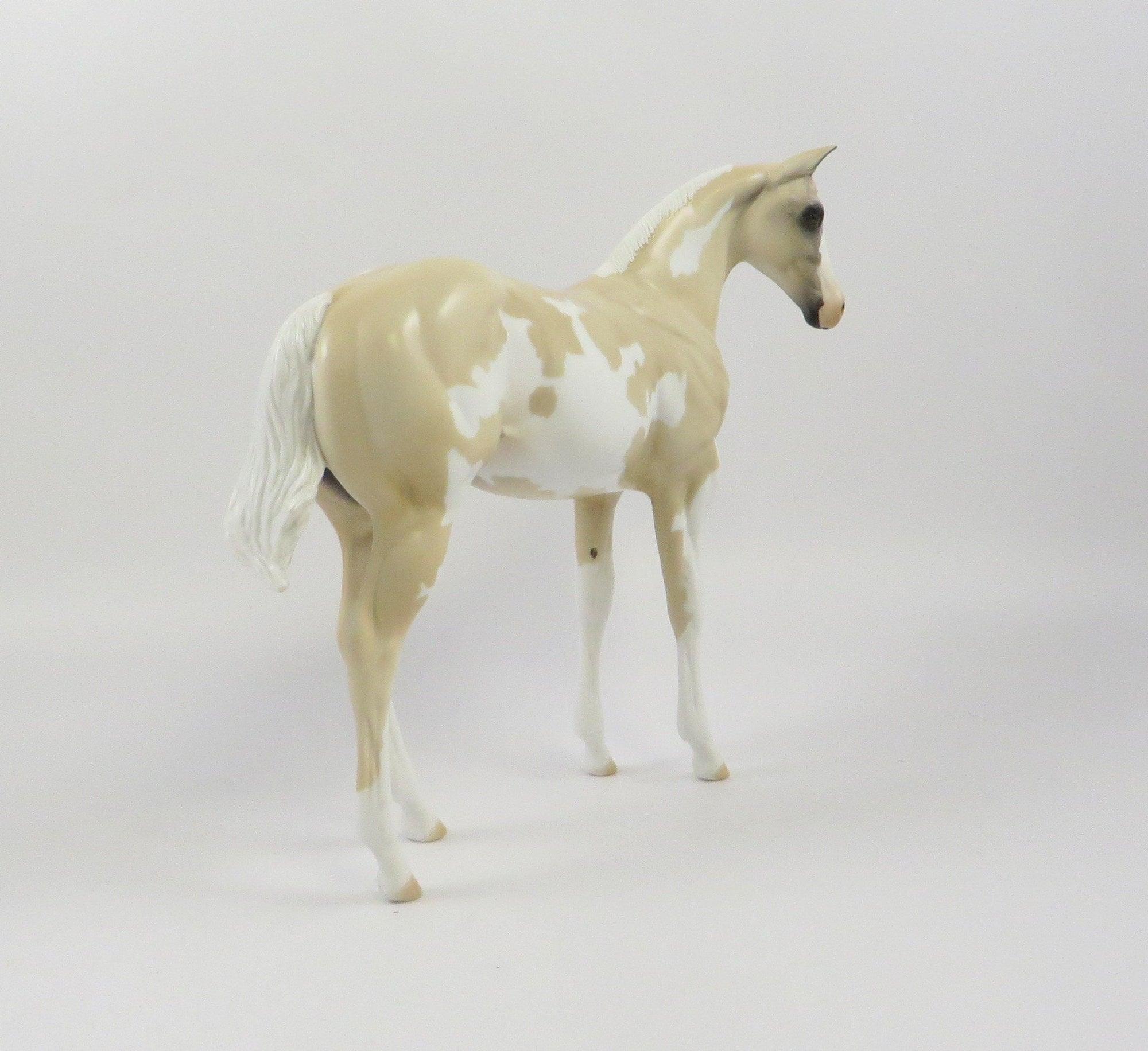 MOON FOAL-OOAK PALOMINO OVERO WEANLING MODEL HORSE 7/22/19