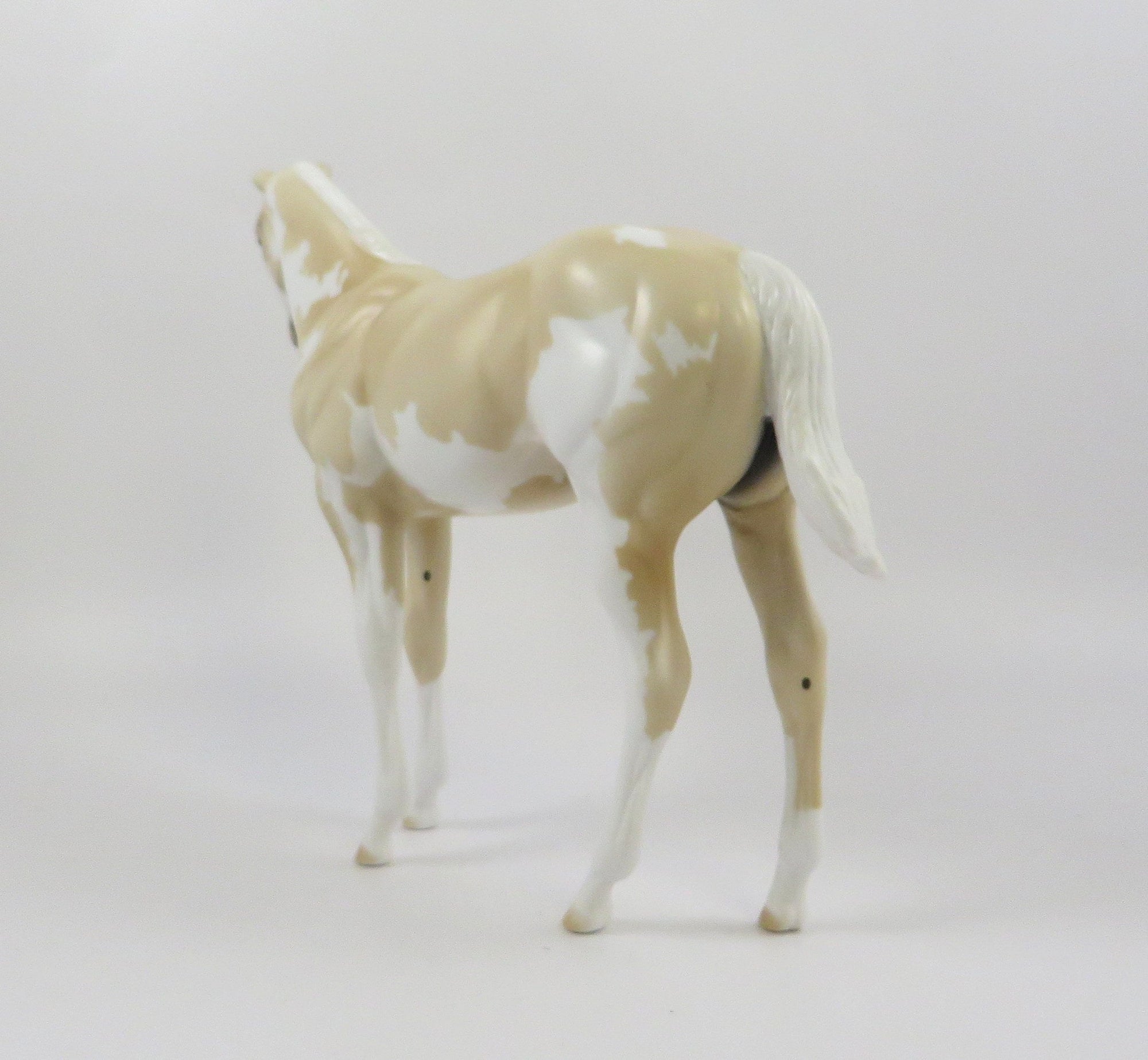 MOON FOAL-OOAK PALOMINO OVERO WEANLING MODEL HORSE 7/22/19