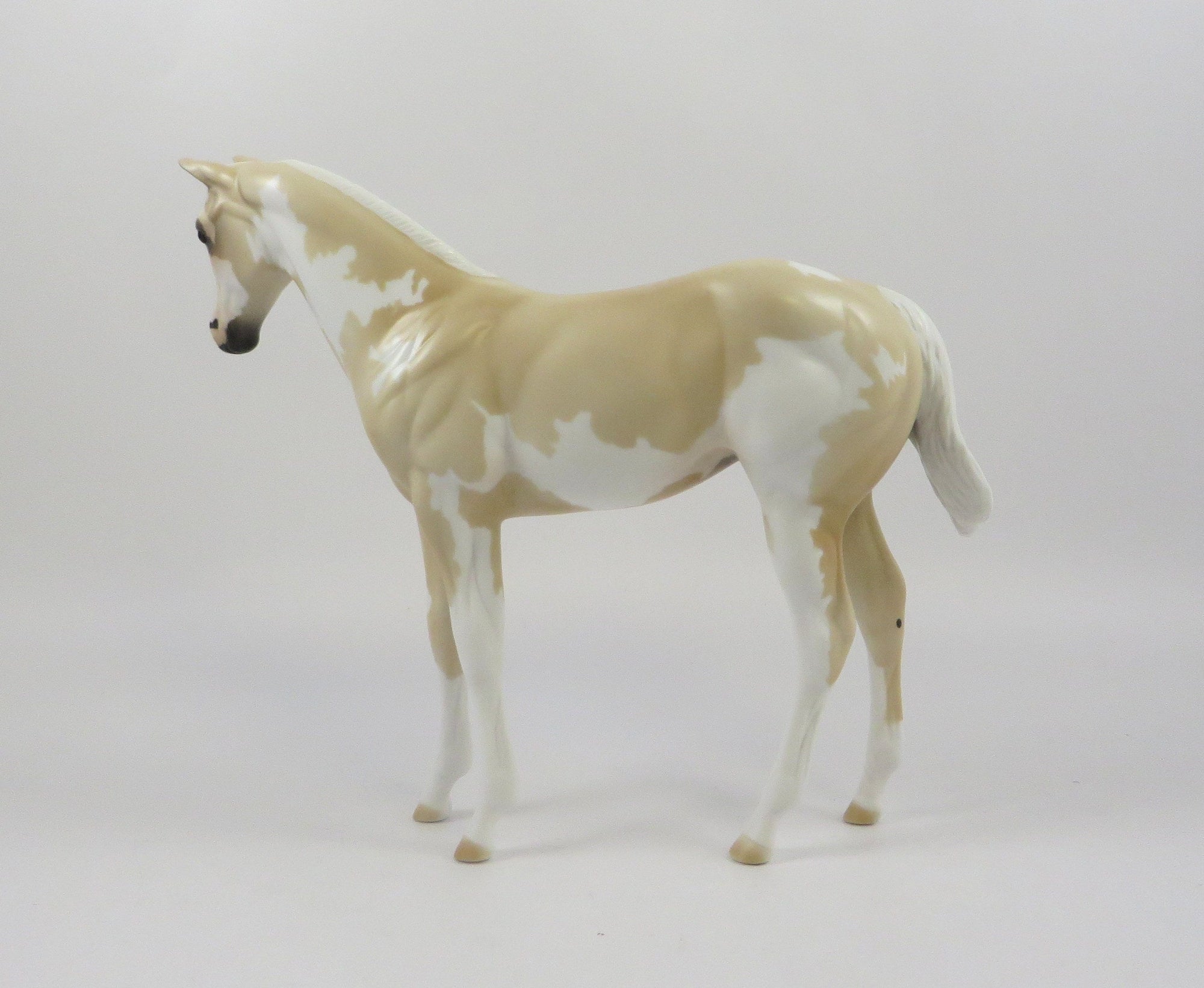 MOON FOAL-OOAK PALOMINO OVERO WEANLING MODEL HORSE 7/22/19