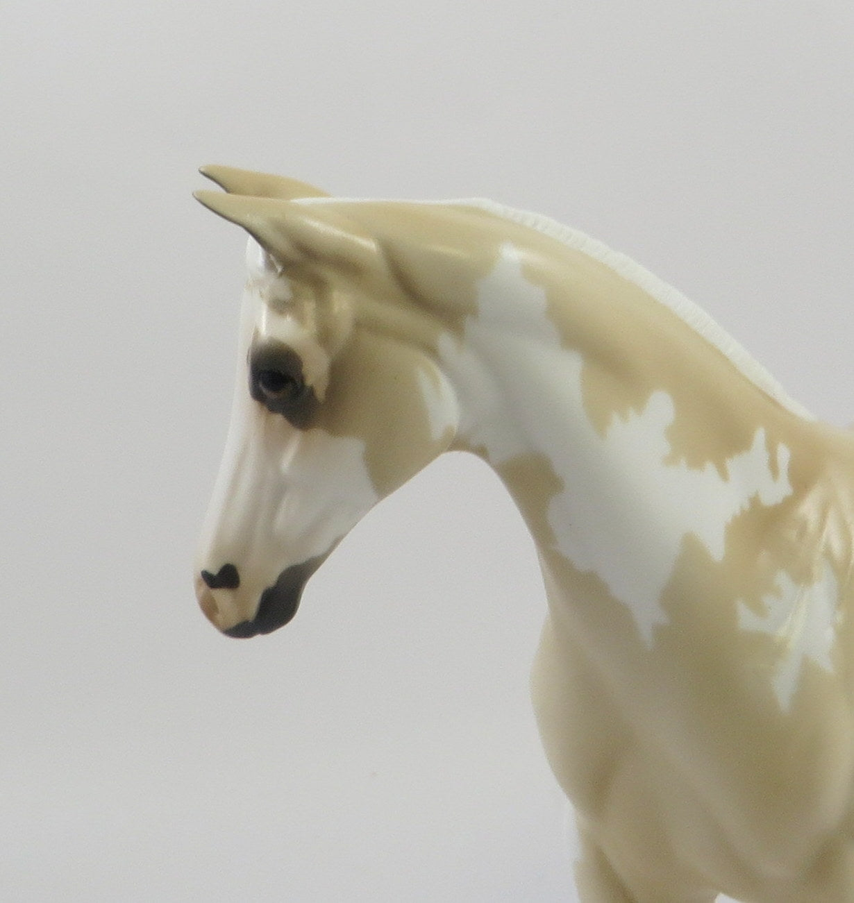 MOON FOAL-OOAK PALOMINO OVERO WEANLING MODEL HORSE 7/22/19