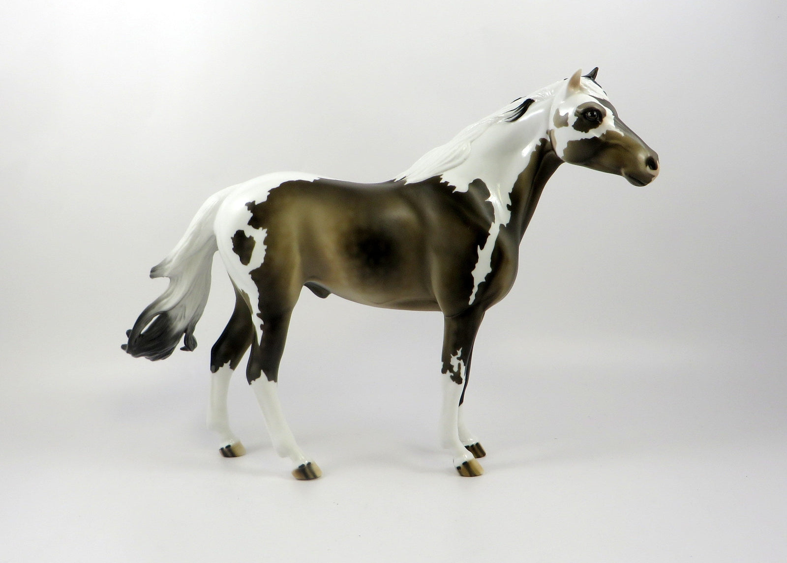 ELUSIVE-OOAK SOOTY BUCKSKIN PAINT SPANISH MUSTANG 7/25/19