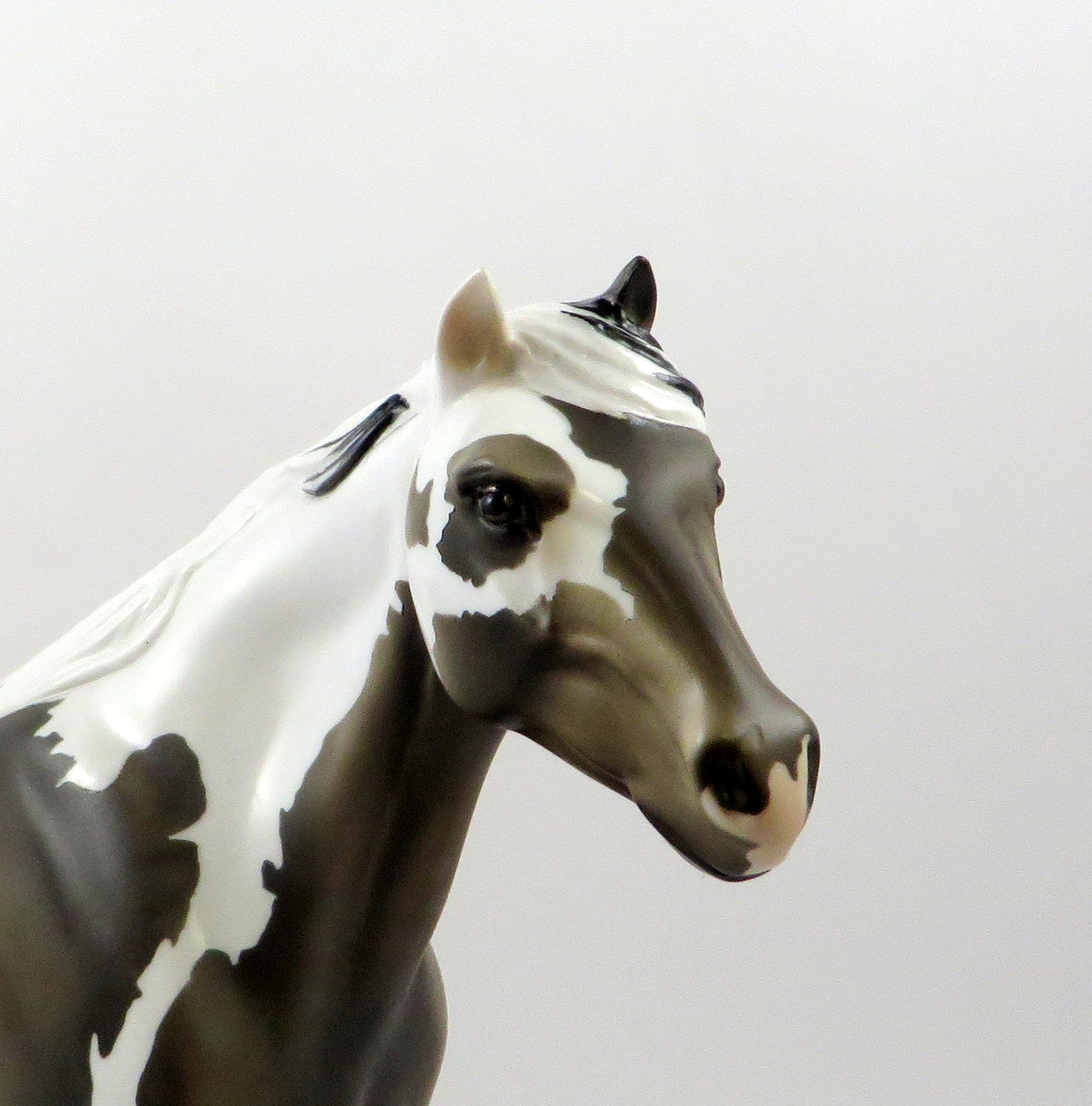 ELUSIVE-OOAK SOOTY BUCKSKIN PAINT SPANISH MUSTANG 7/25/19