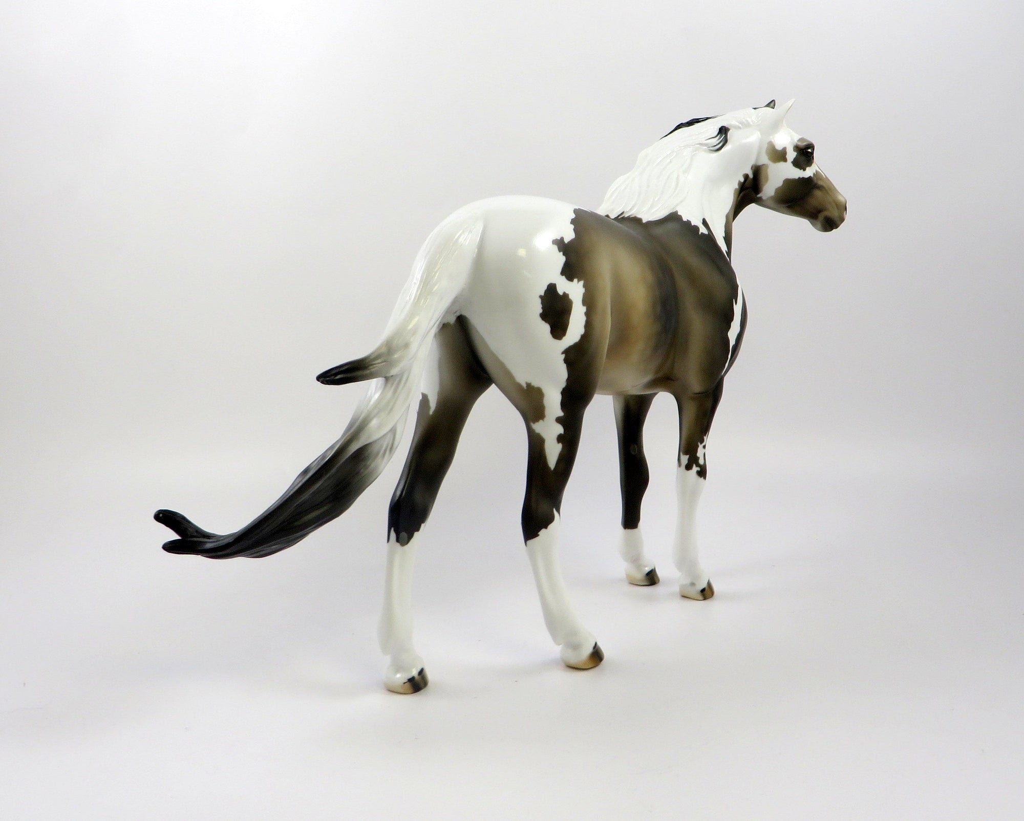 ELUSIVE-OOAK SOOTY BUCKSKIN PAINT SPANISH MUSTANG 7/25/19